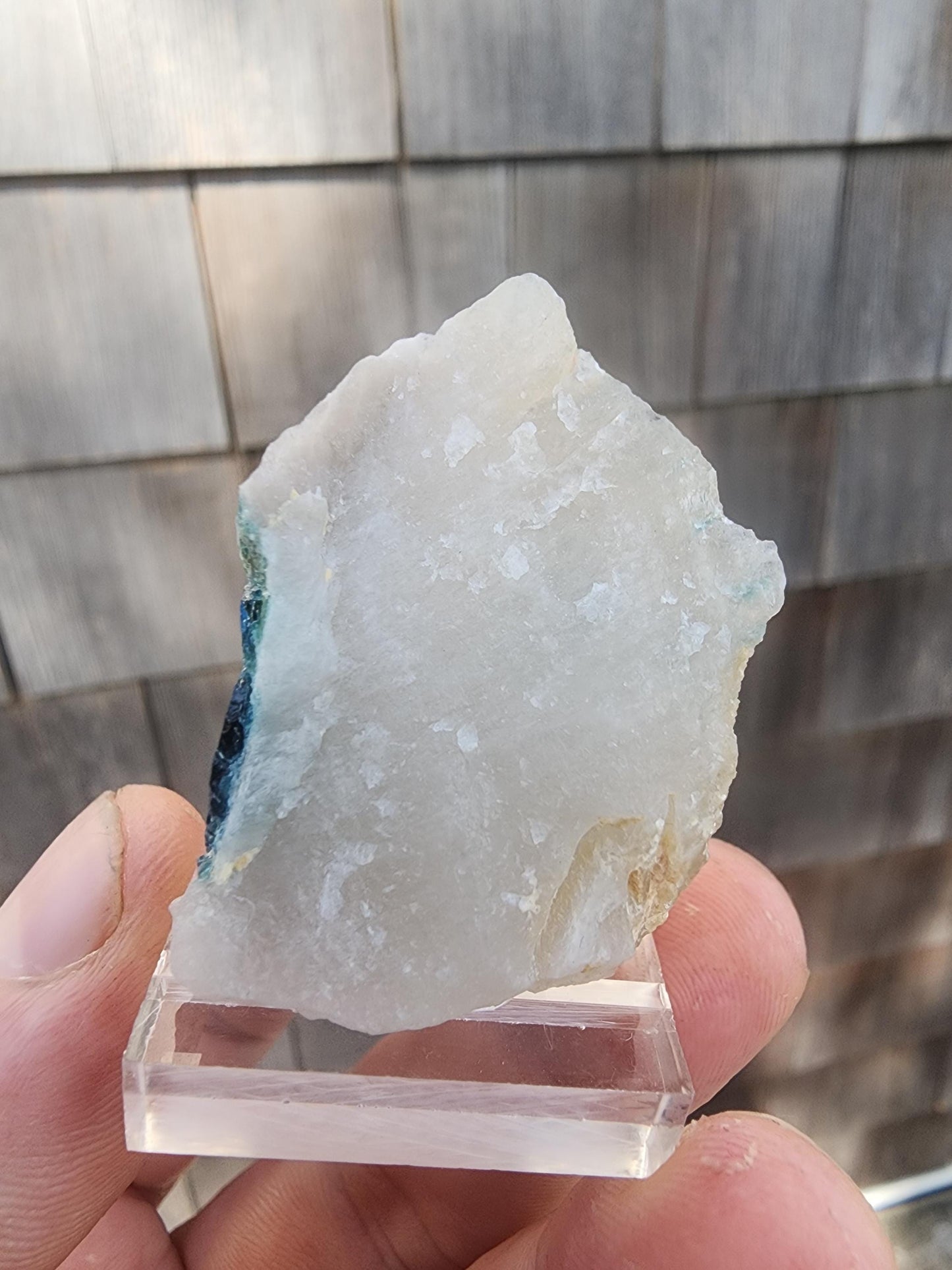Tourmaline var. "T" Indicolite in Quartz from Minas Gerais, Brazil
