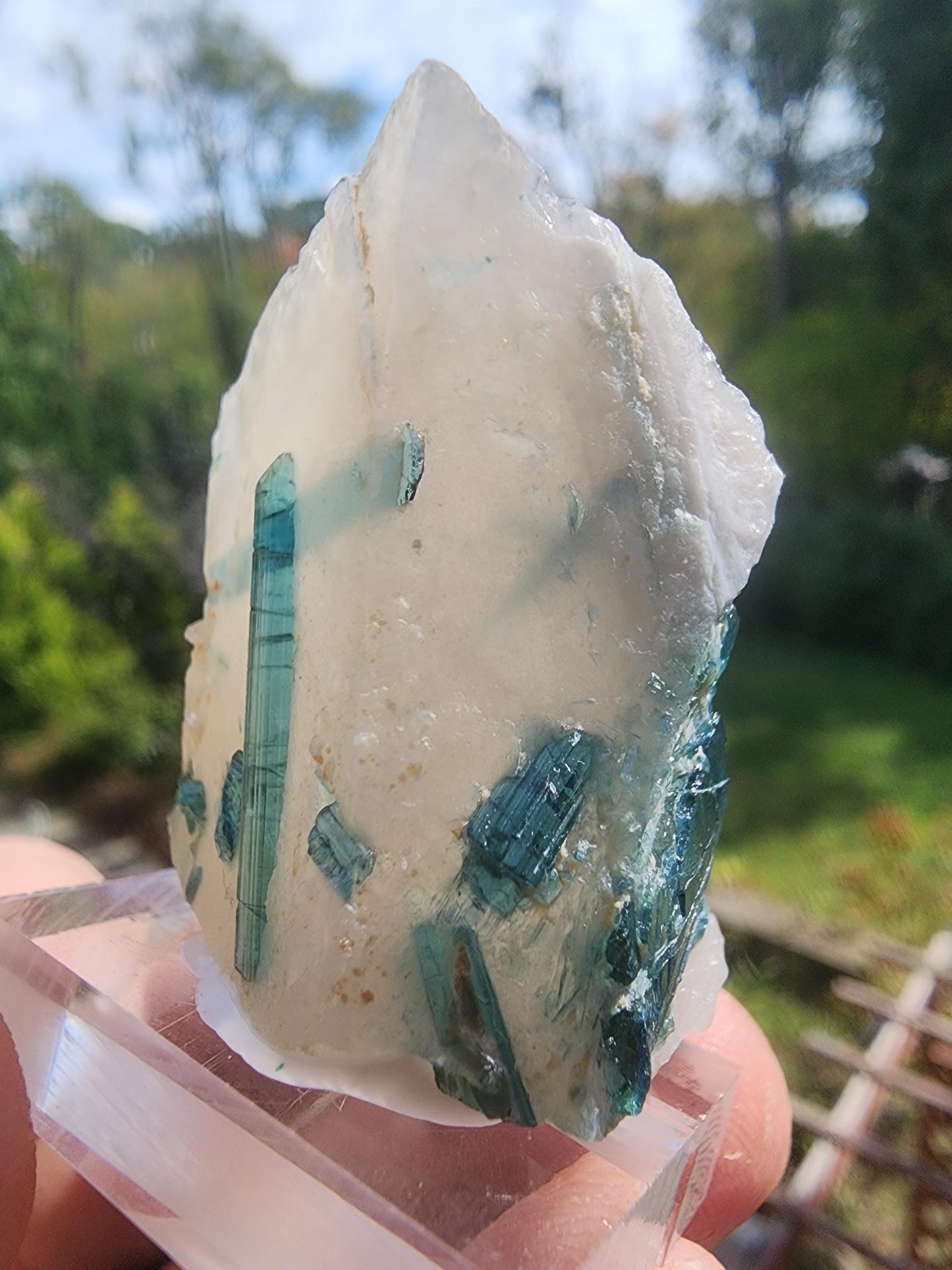 Tourmaline var. "T" Indicolite in Quartz from Minas Gerais, Brazil