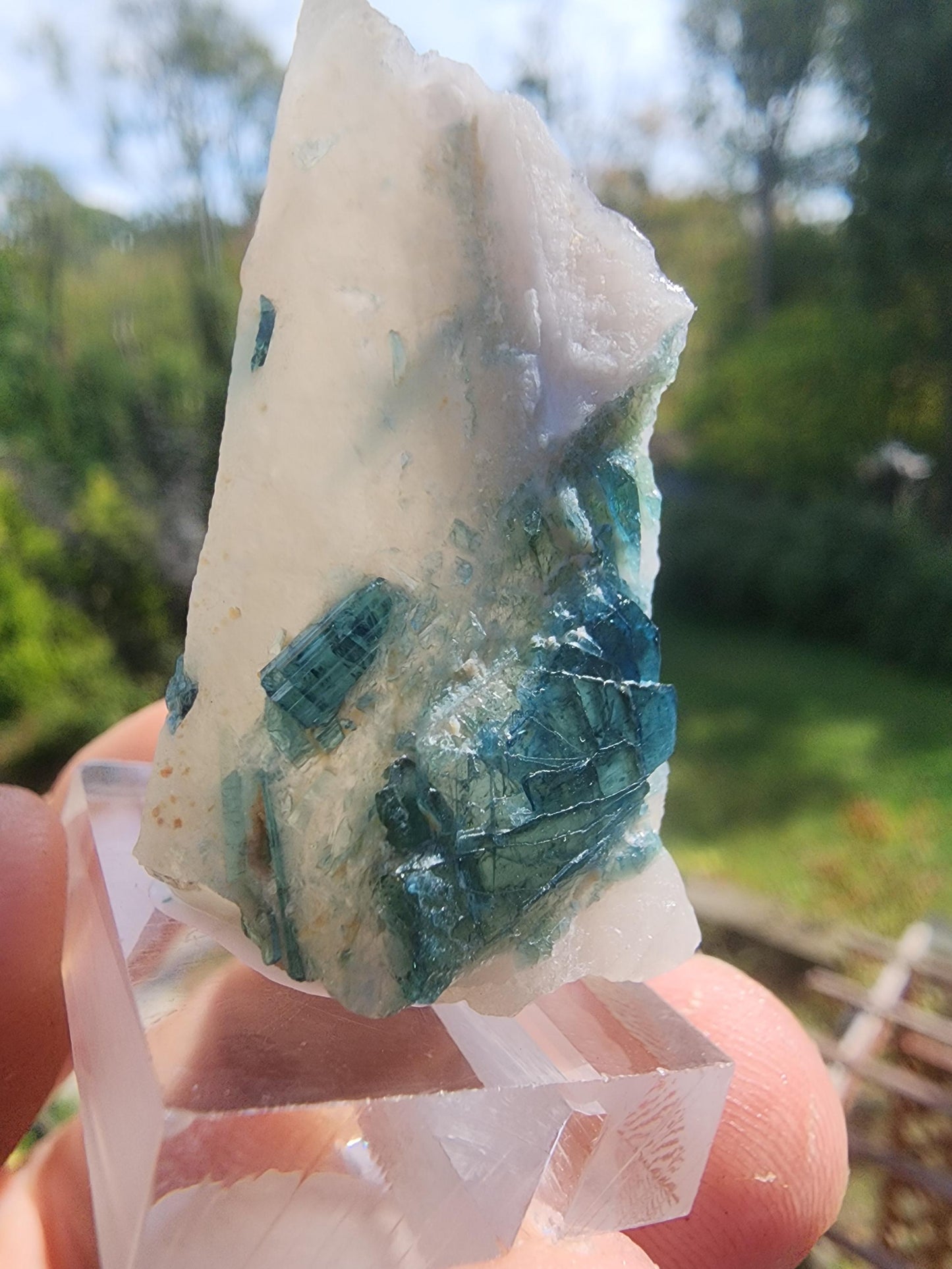 Tourmaline var. "T" Indicolite in Quartz from Minas Gerais, Brazil
