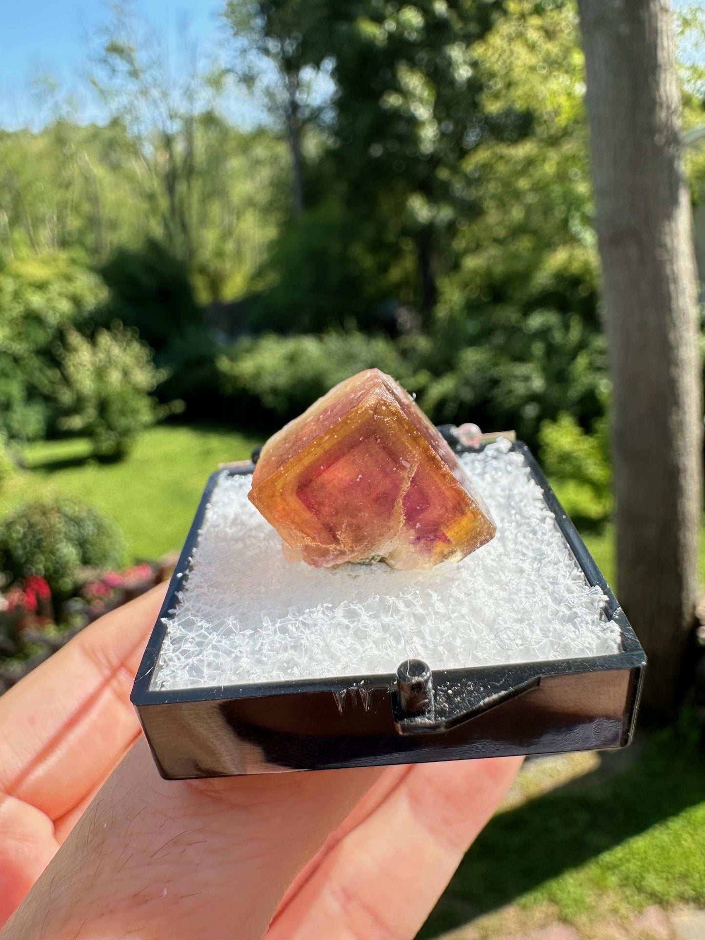 Yellow and Purple Fluorite Crystal from Jingbian Cu-A Deposit, China