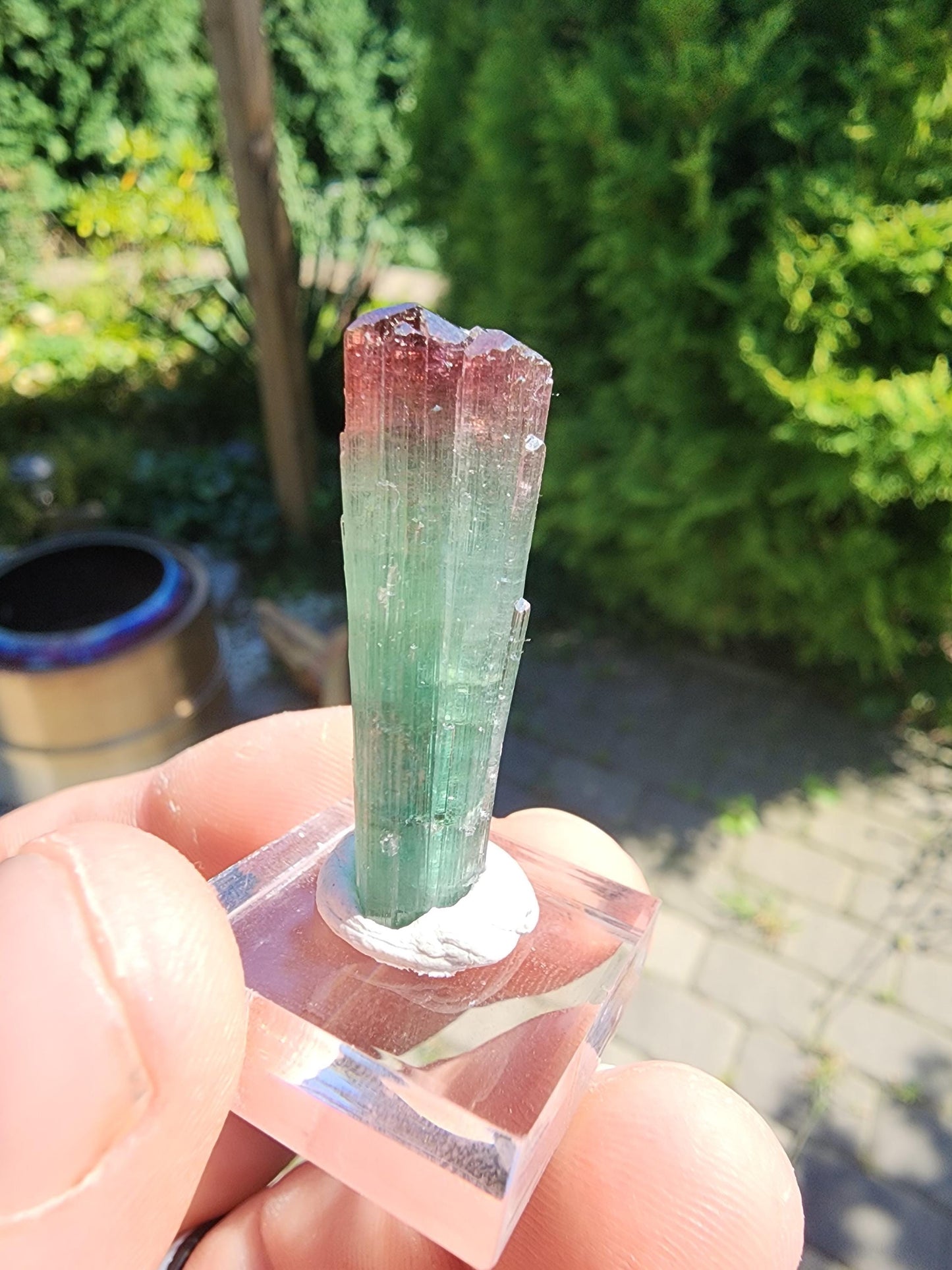 Cruzeiro Lipstick Tourmaline Crystal from Minas Gerais, Brazil