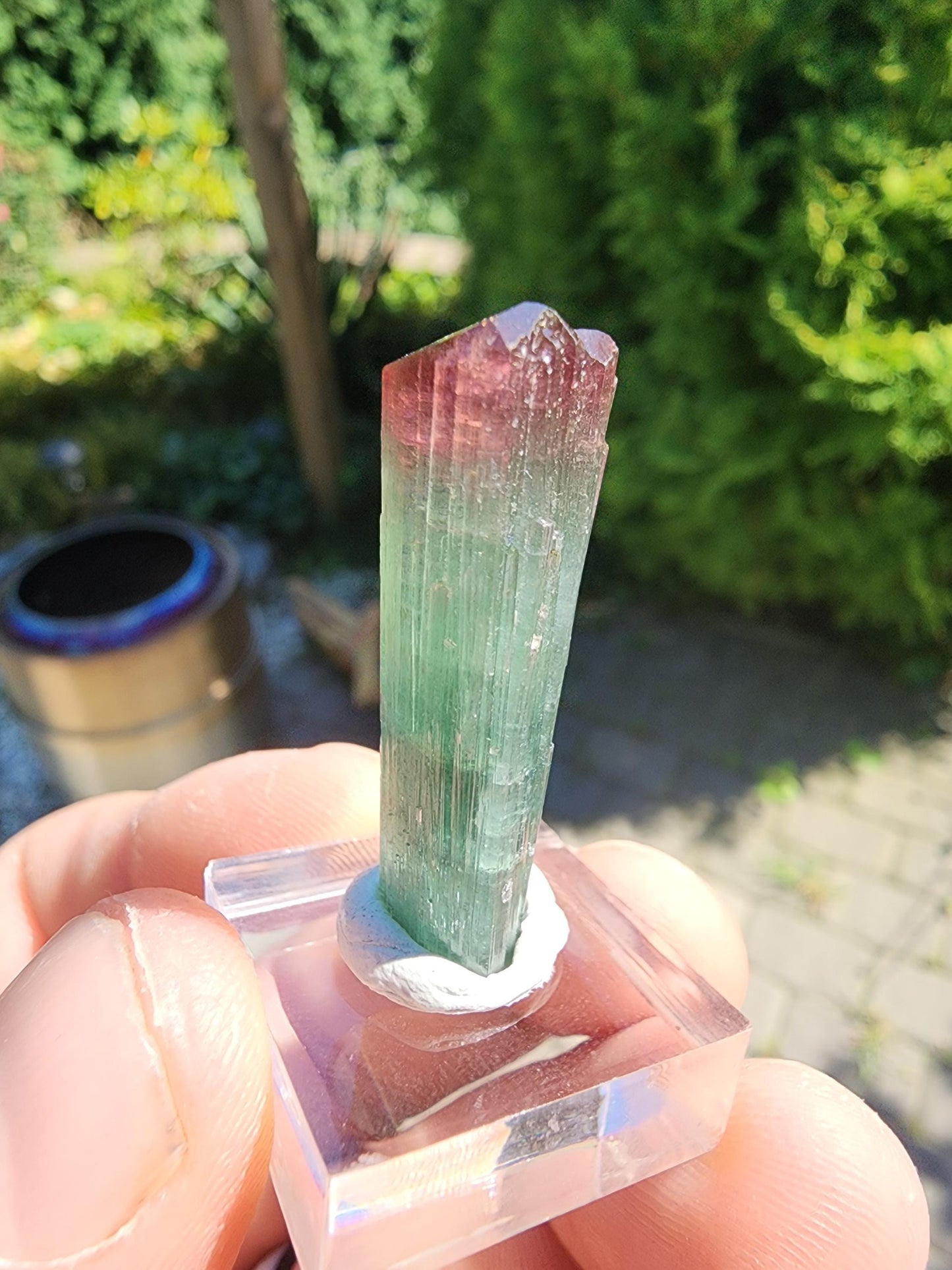 Cruzeiro Lipstick Tourmaline Crystal from Minas Gerais, Brazil