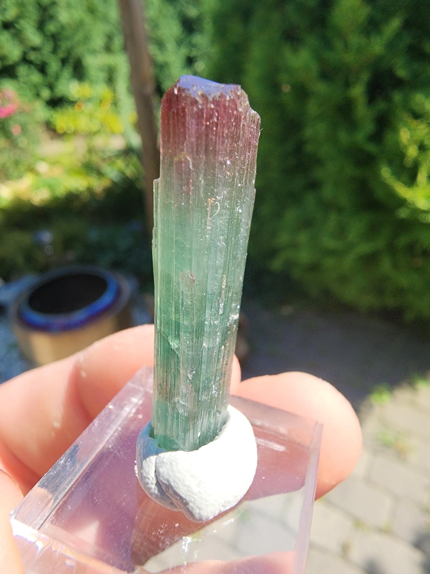 Cruzeiro Lipstick Tourmaline Crystal from Minas Gerais, Brazil