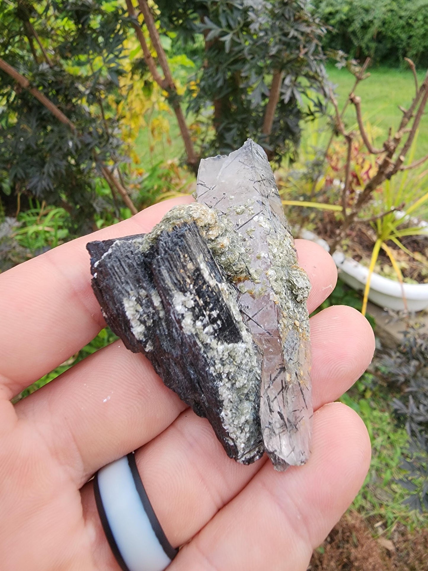 Tourmaline var. Schorl with Muscovite and Quartz