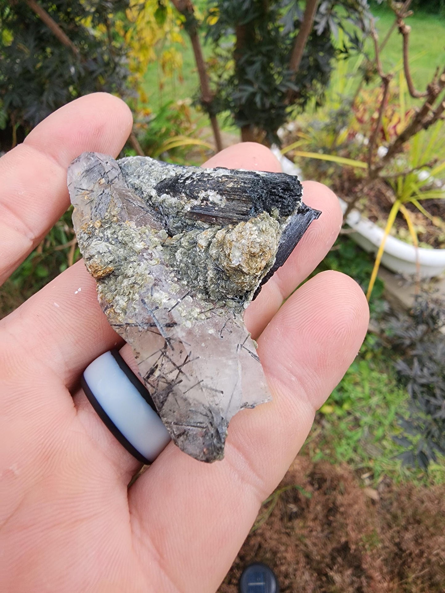 Tourmaline var. Schorl with Muscovite and Quartz