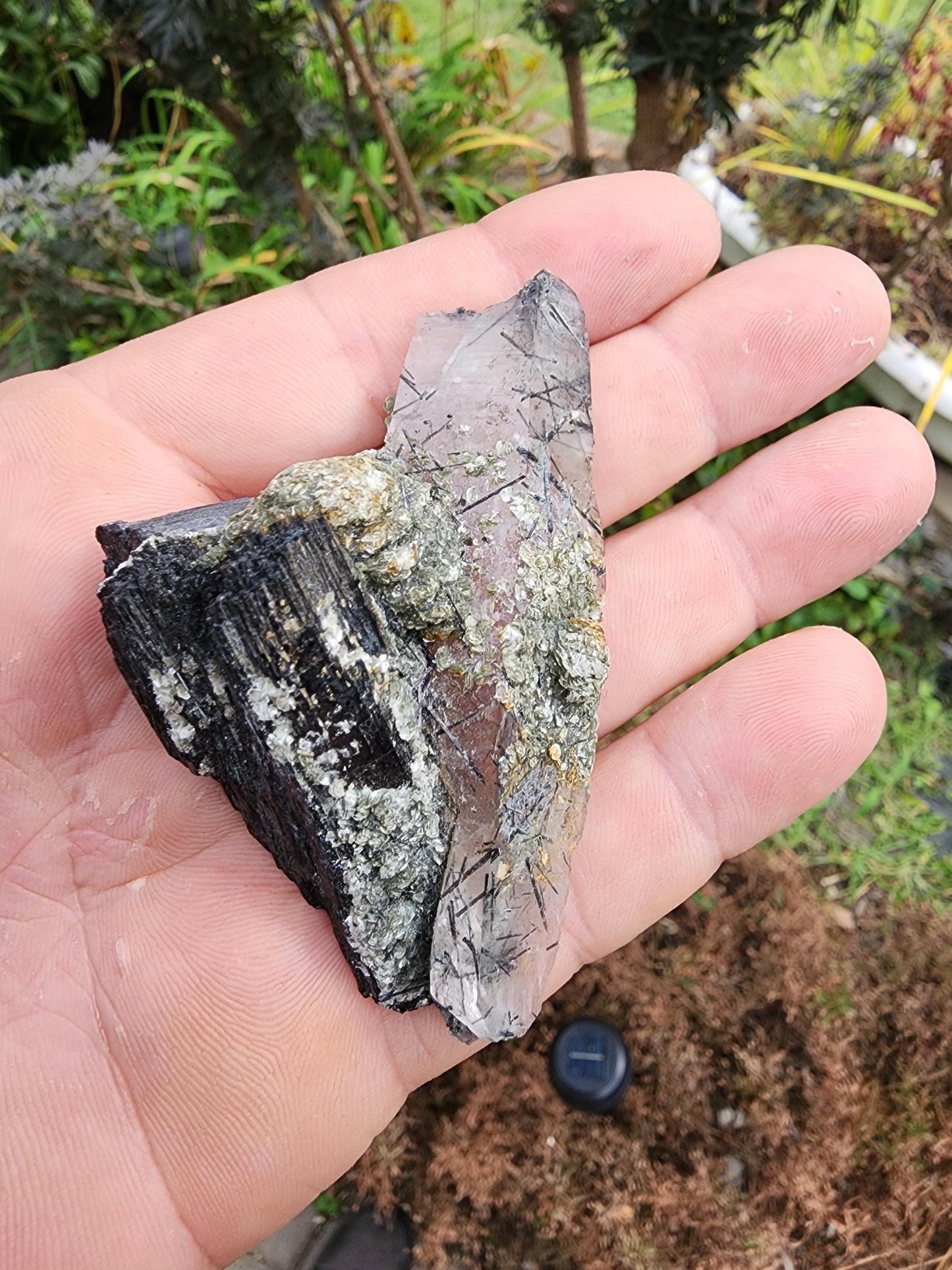 Tourmaline var. Schorl with Muscovite and Quartz