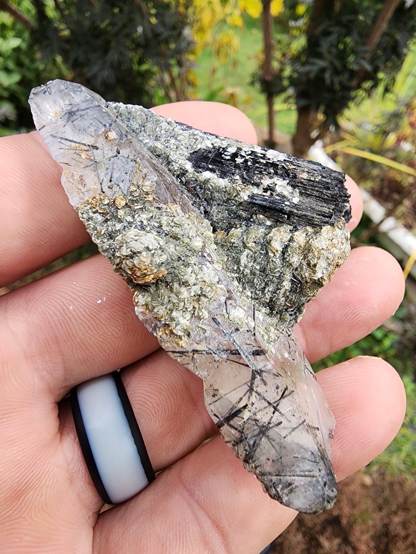 Tourmaline var. Schorl with Muscovite and Quartz