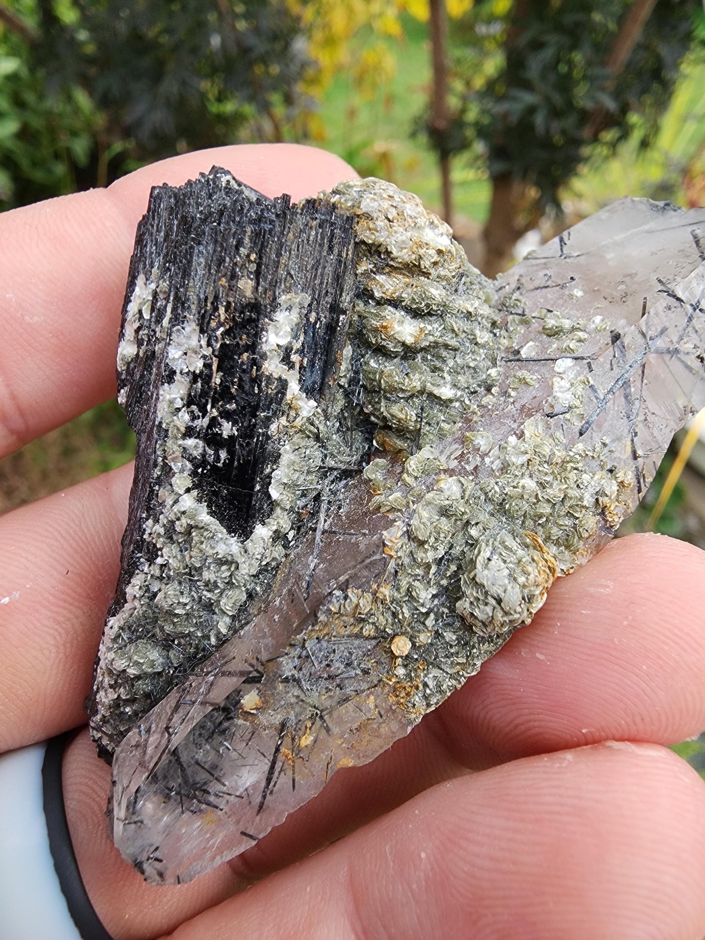 Tourmaline var. Schorl with Muscovite and Quartz