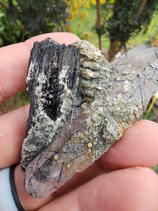 Tourmaline var. Schorl with Muscovite and Quartz