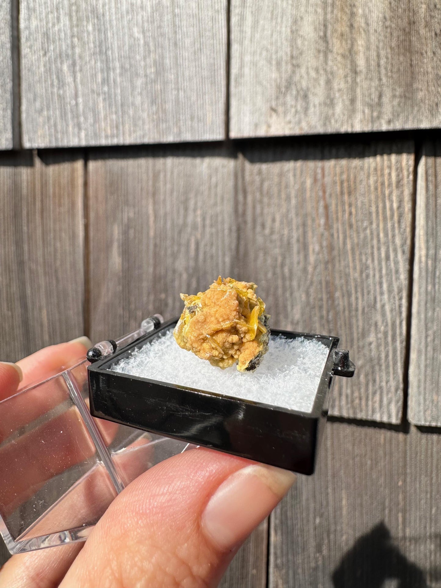 Wulfenite with Mimetite from San Francisco Mine Mexico