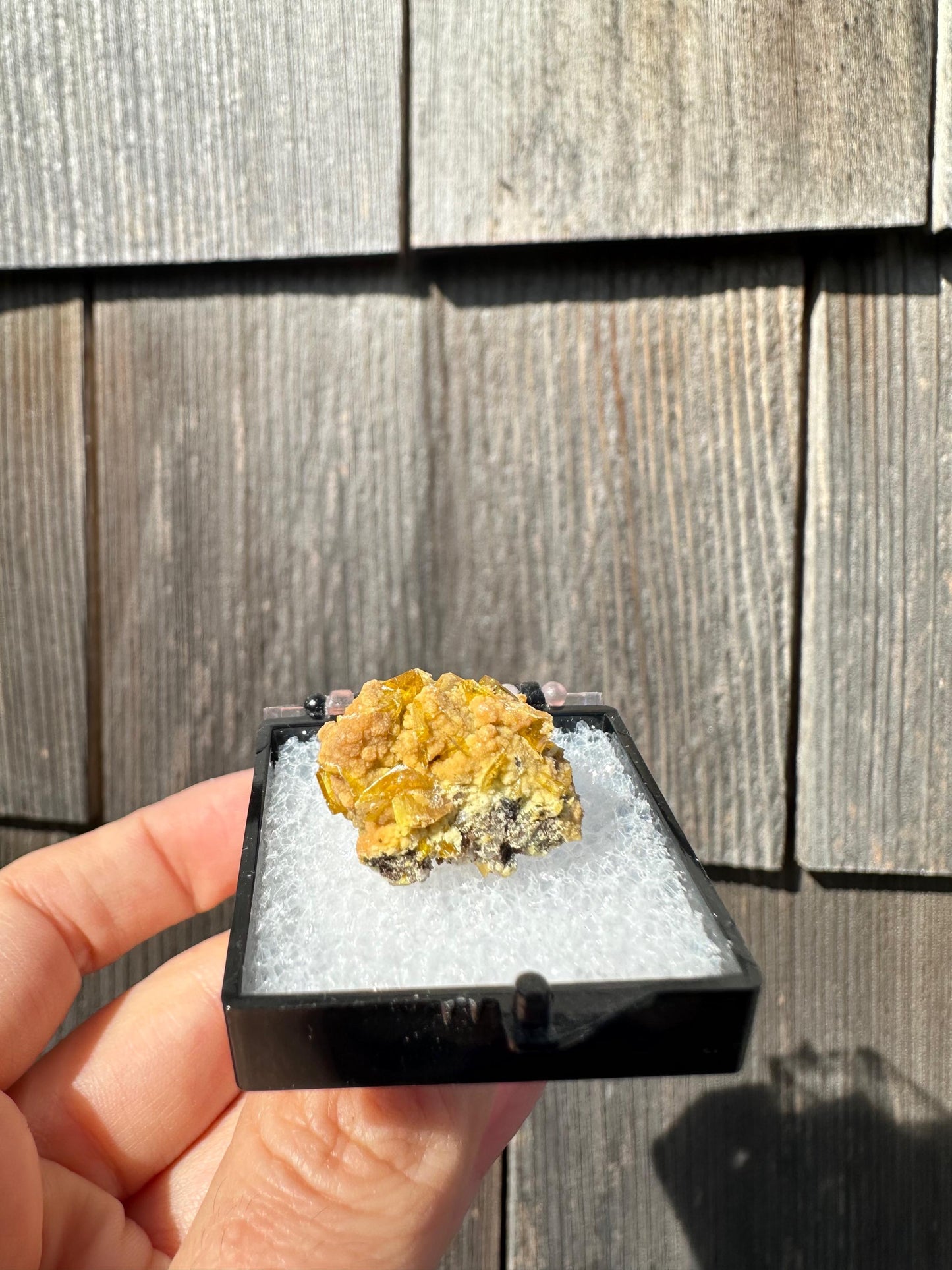 Wulfenite with Mimetite from San Francisco Mine Mexico
