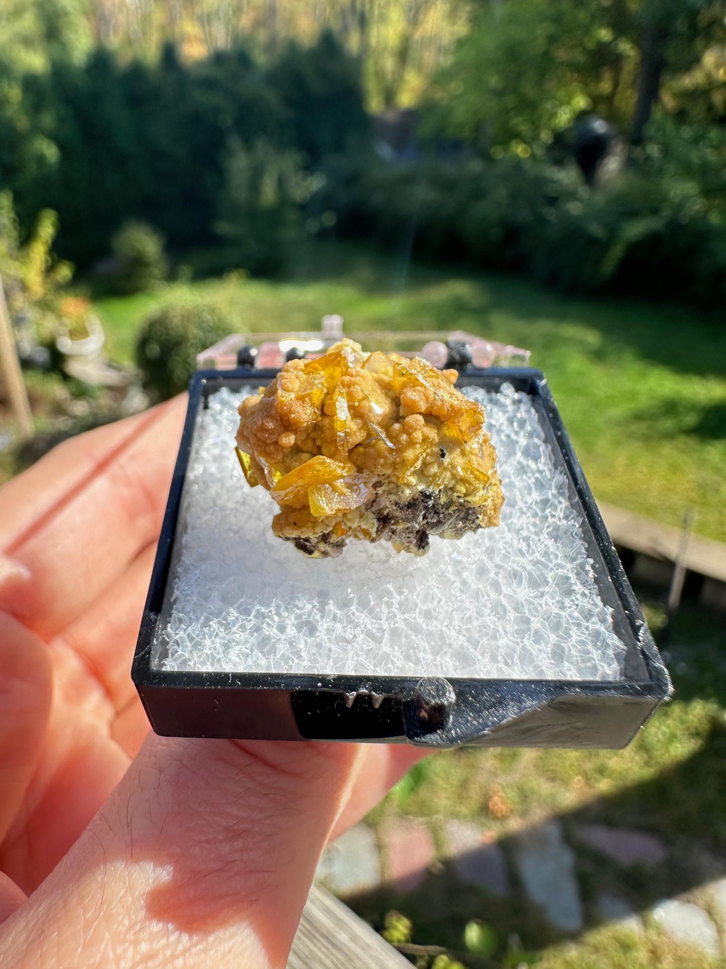 Wulfenite with Mimetite from San Francisco Mine Mexico