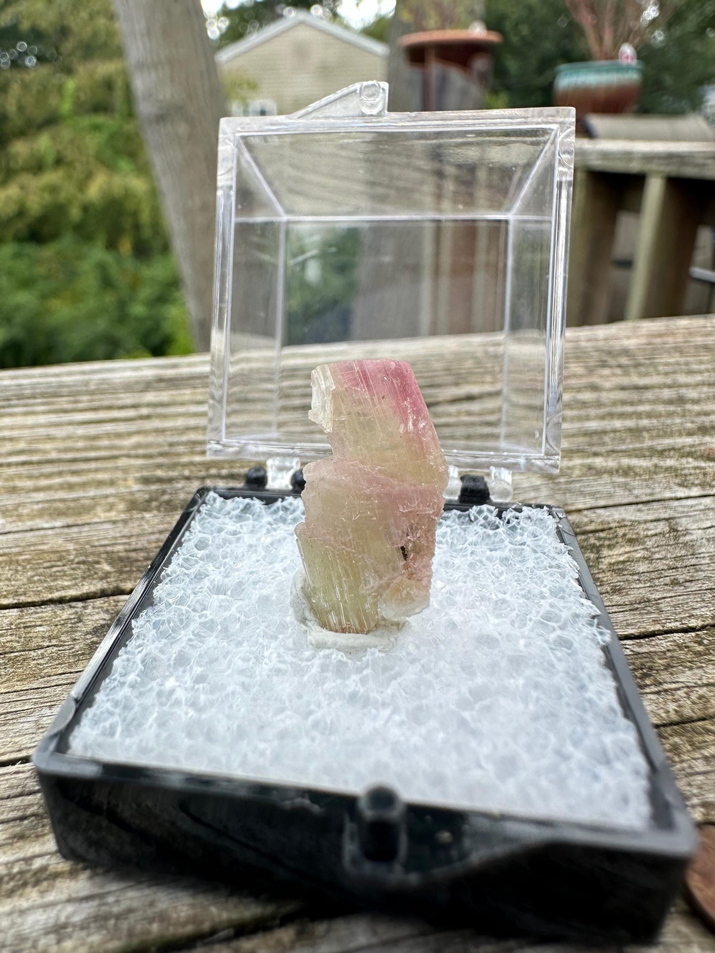 Terminated Bicolor Tourmaline Crystal from California USA