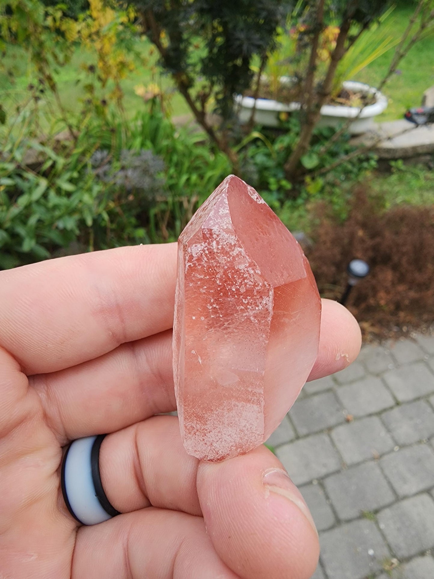 Quartz var. Pink Lemurian Crystal from Brazil