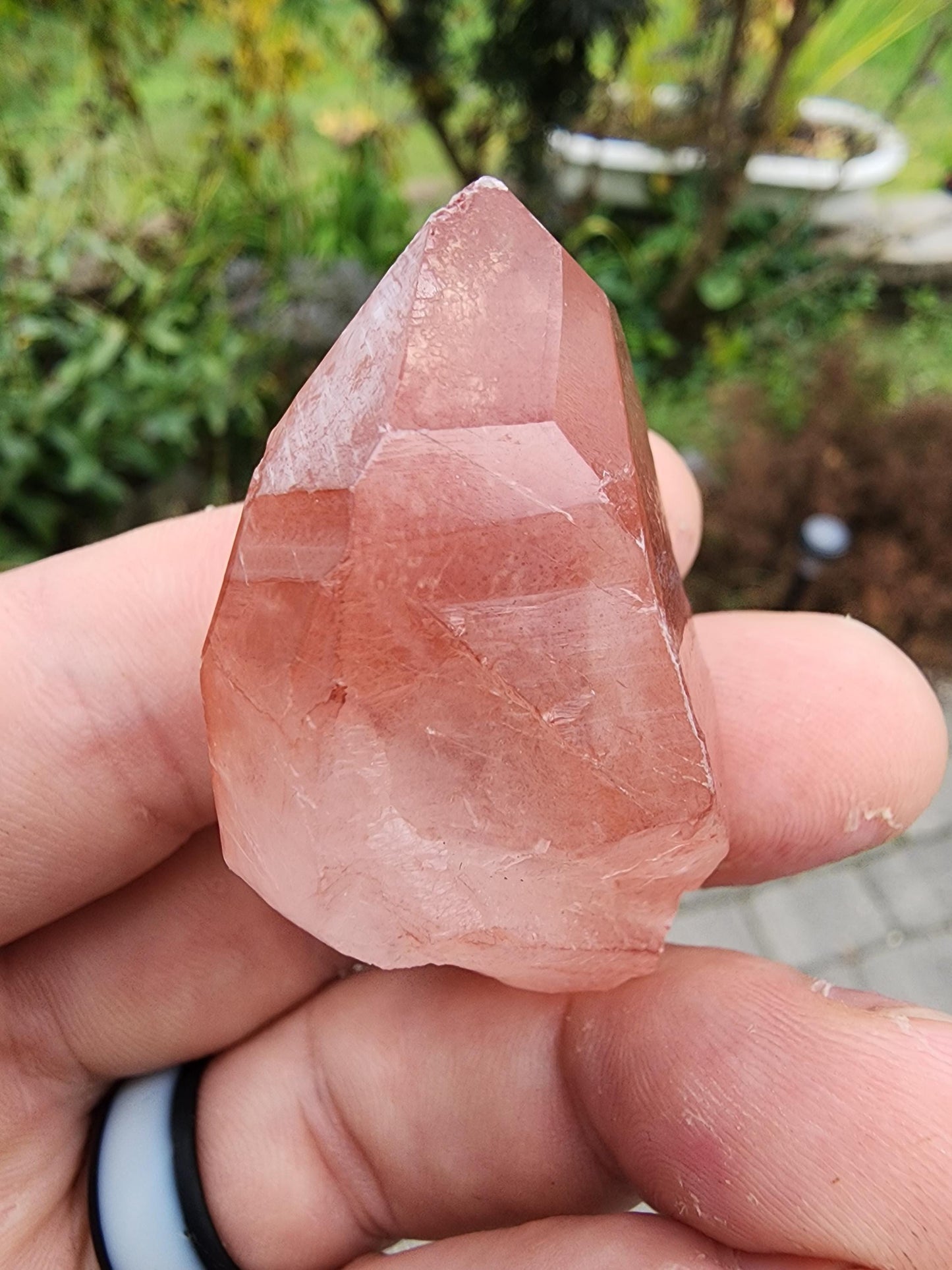 Quartz var. Pink Lemurian Crystal from Brazil