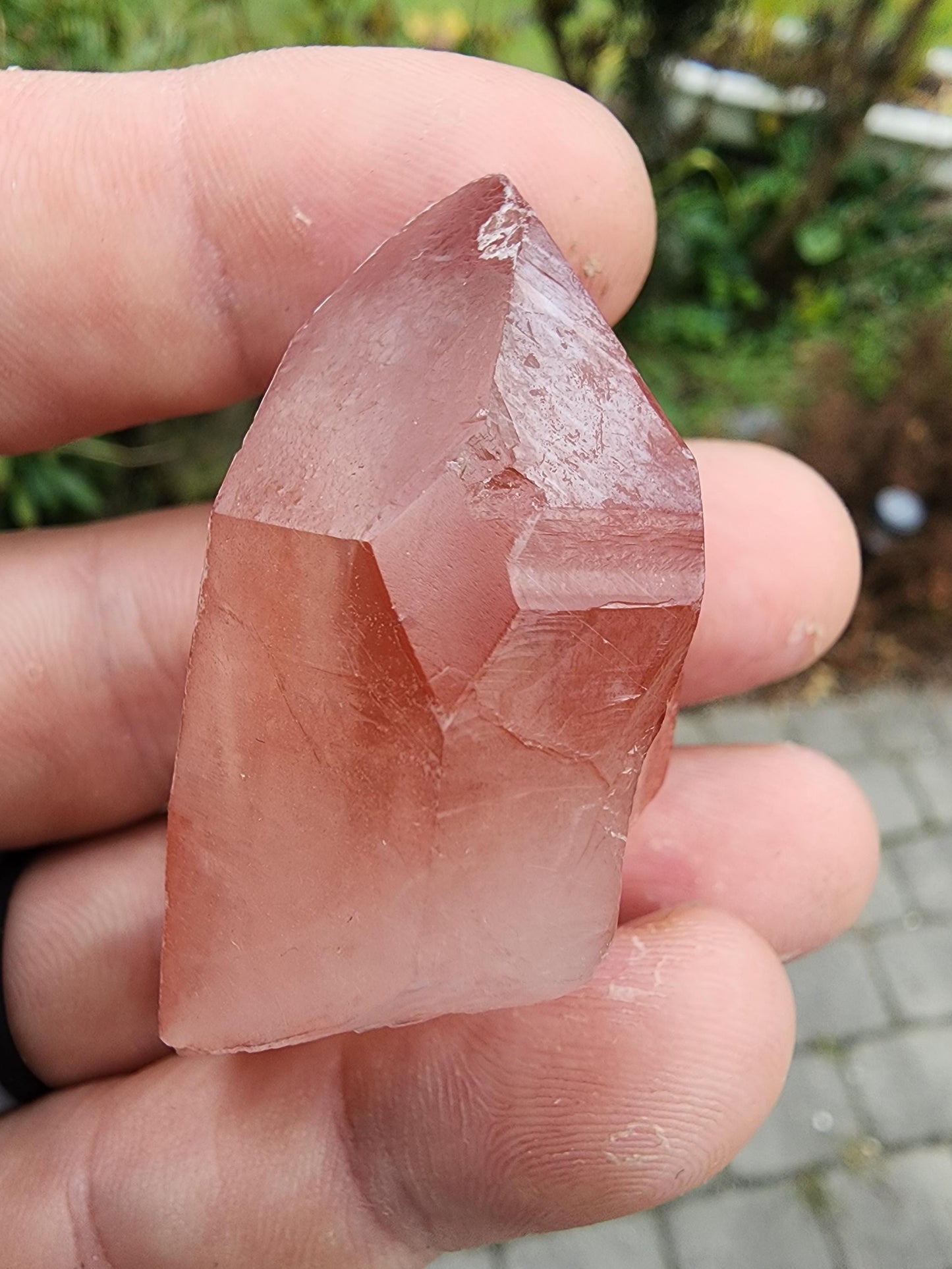 Quartz var. Pink Lemurian Crystal from Brazil