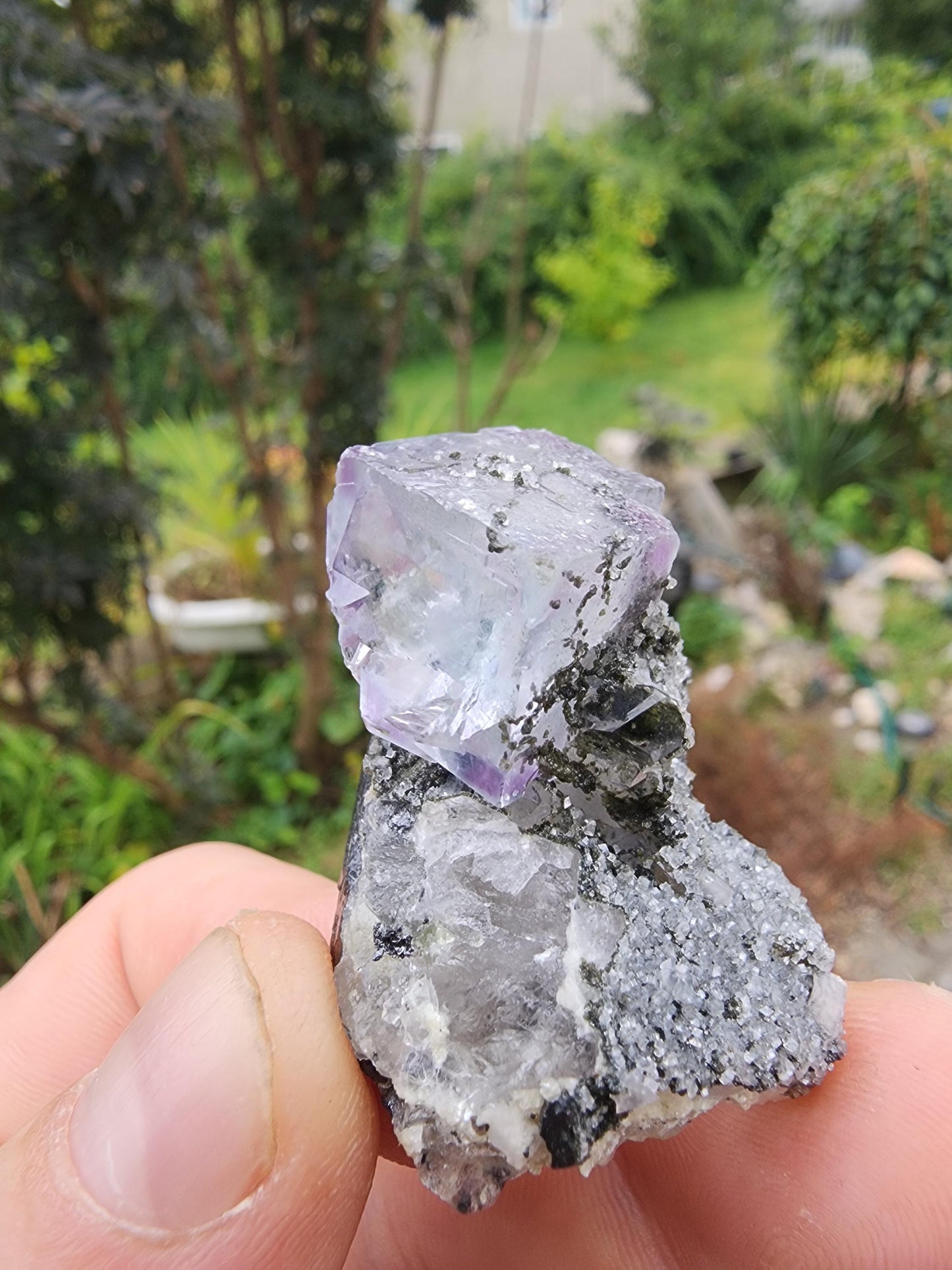 YGX Phantom Fluorite Cluster from China
