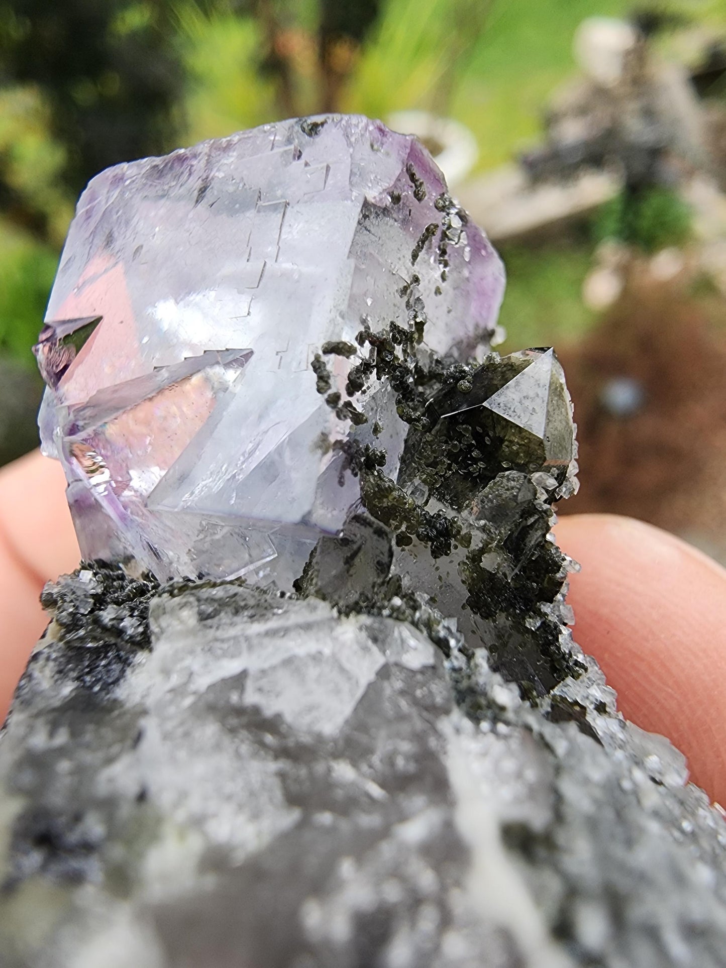 YGX Phantom Fluorite Cluster from China