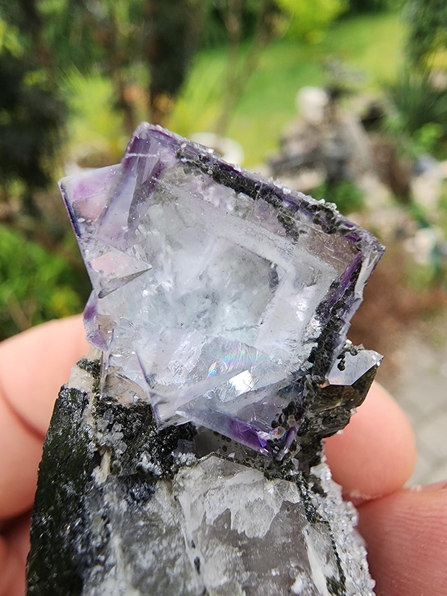 YGX Phantom Fluorite Cluster from China