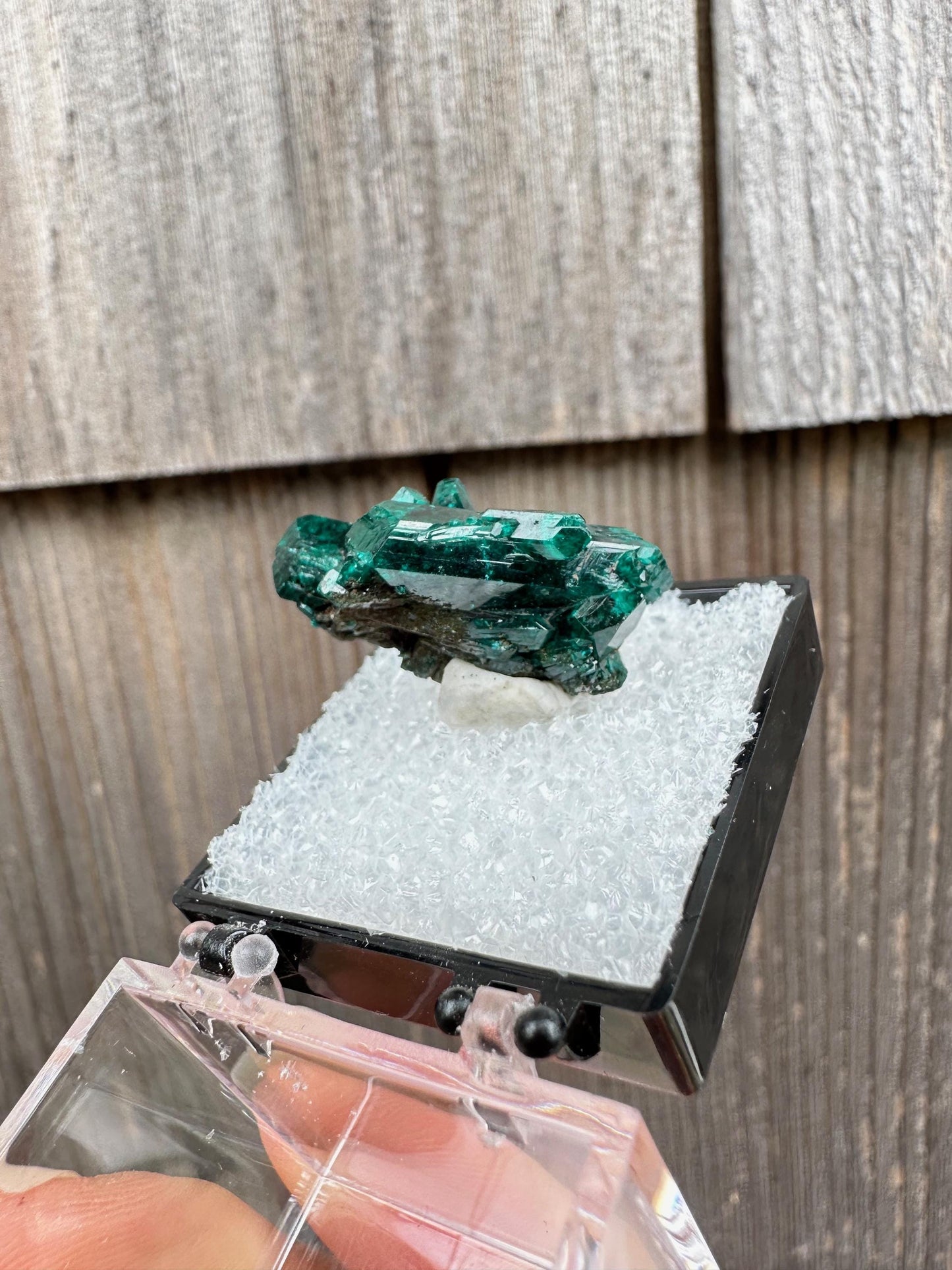 Dioptase Crystal Cluster from Namibia