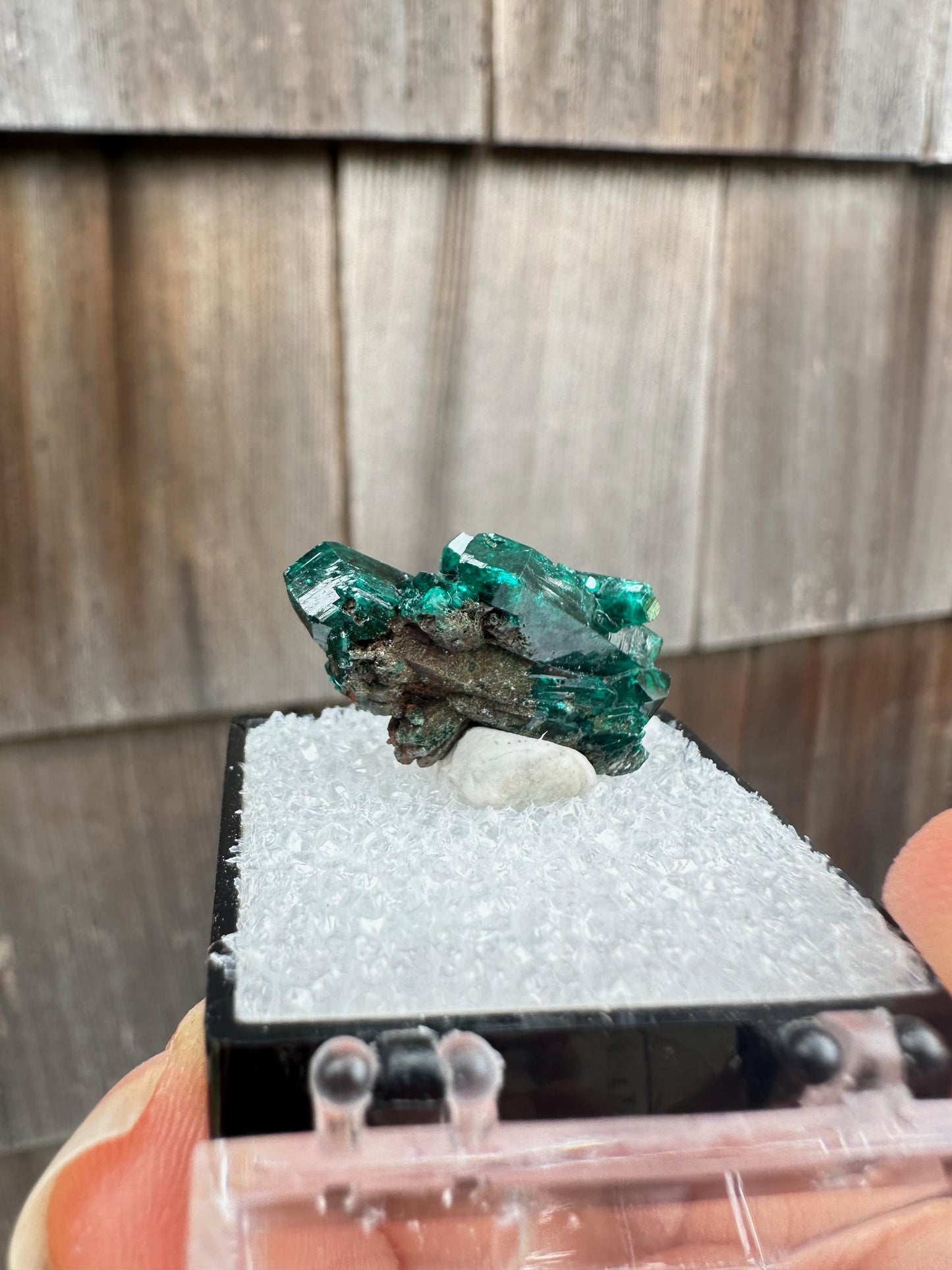 Dioptase Crystal Cluster from Namibia