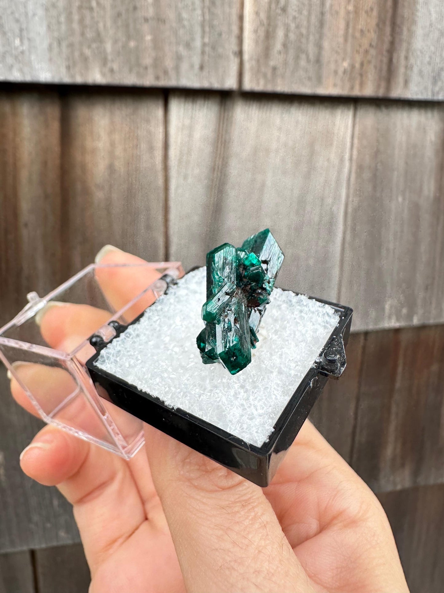 Dioptase Crystal Cluster from Namibia