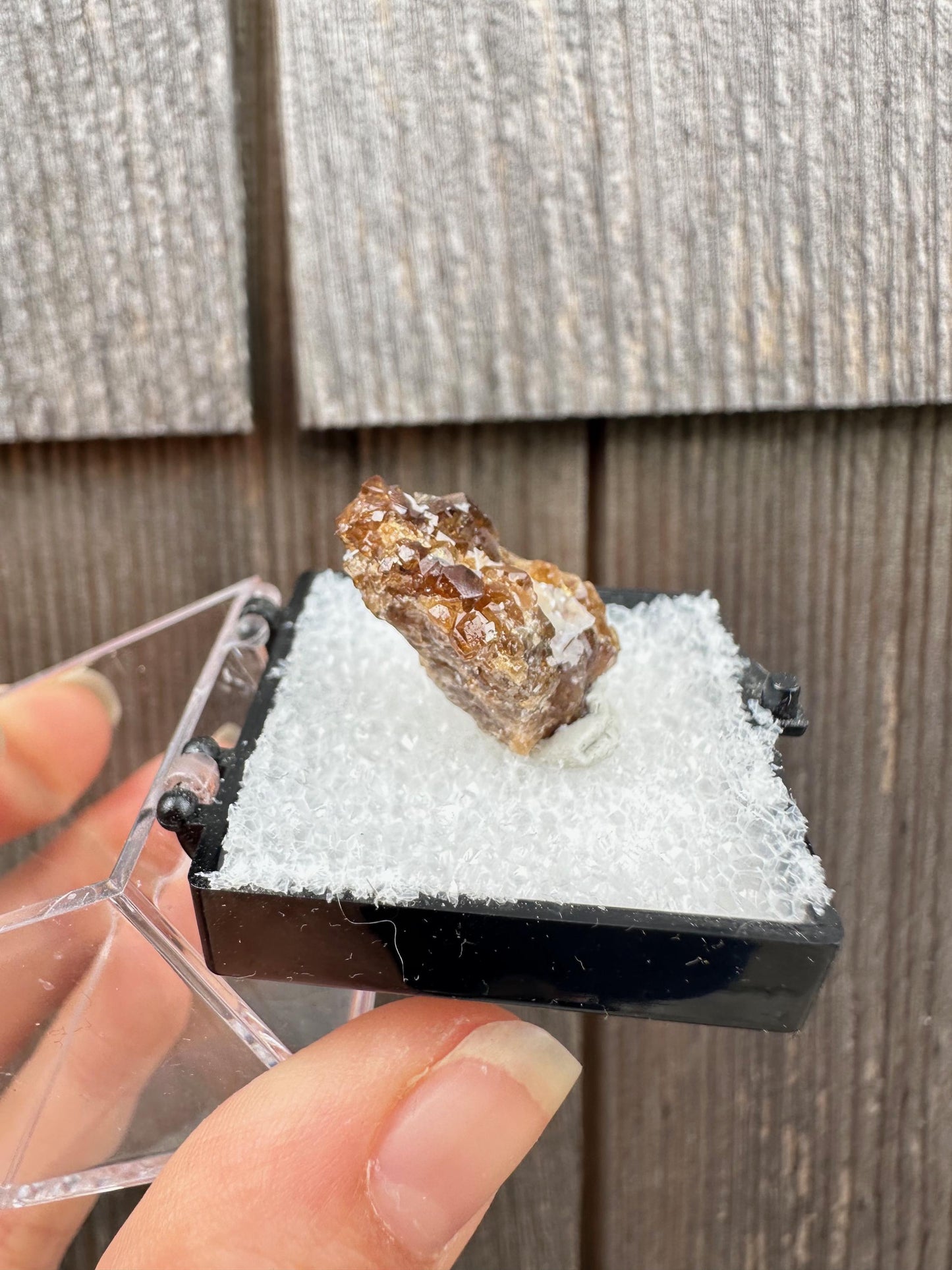 Grossular Garnet Crystals on Matrix from Vesper Peak Washington USA