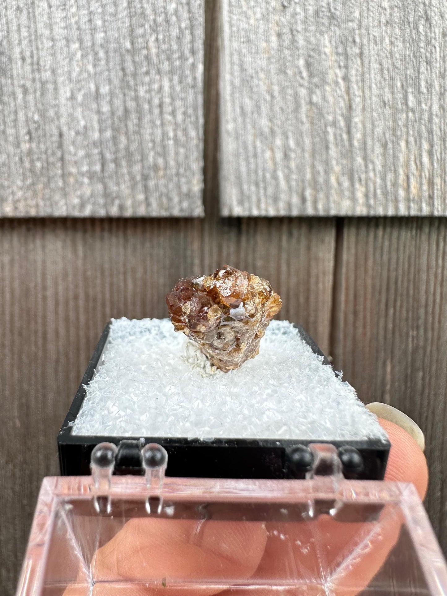 Grossular Garnet Crystals on Matrix from Vesper Peak Washington USA