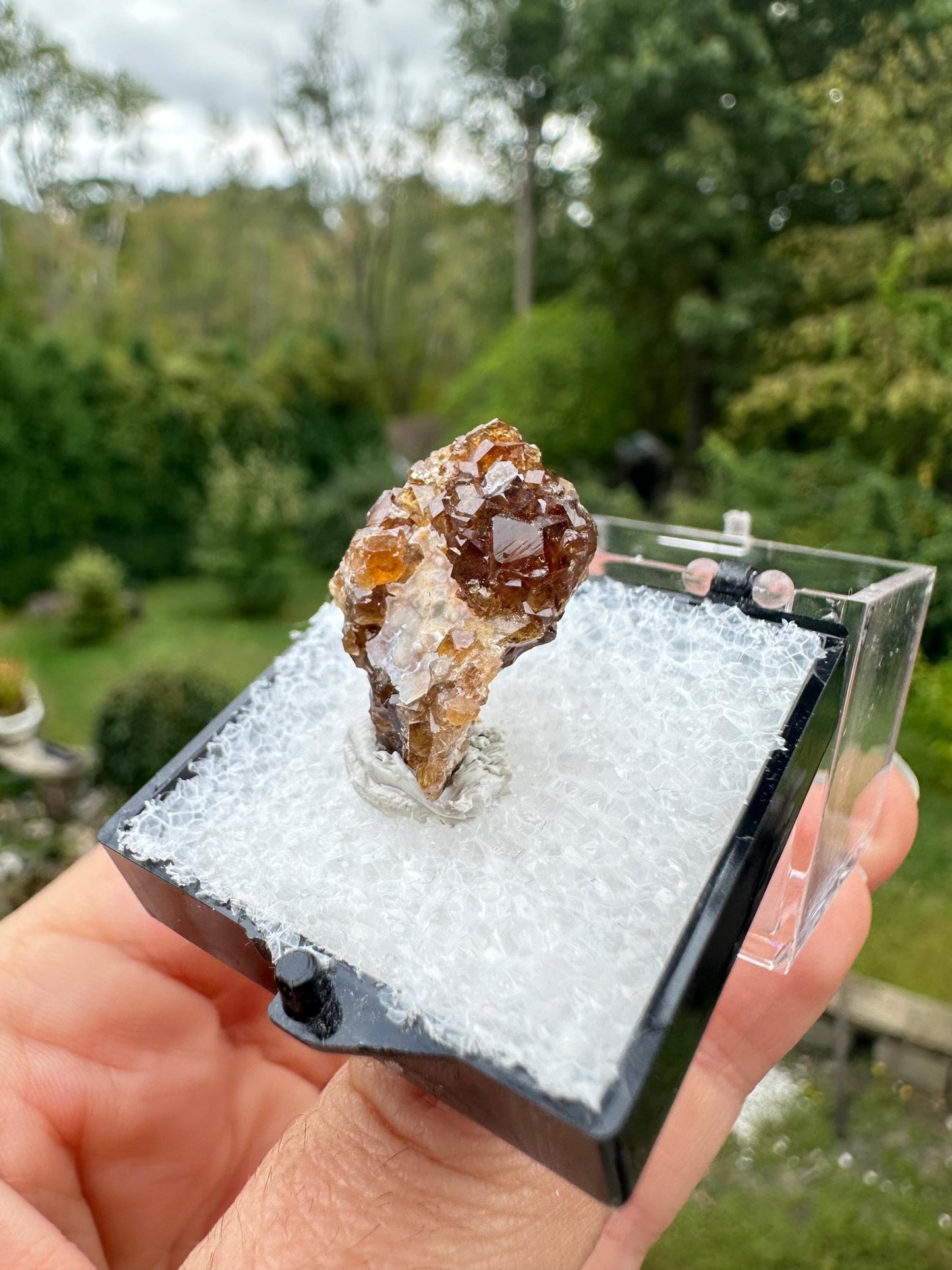 Grossular Garnet Crystals on Matrix from Vesper Peak Washington USA