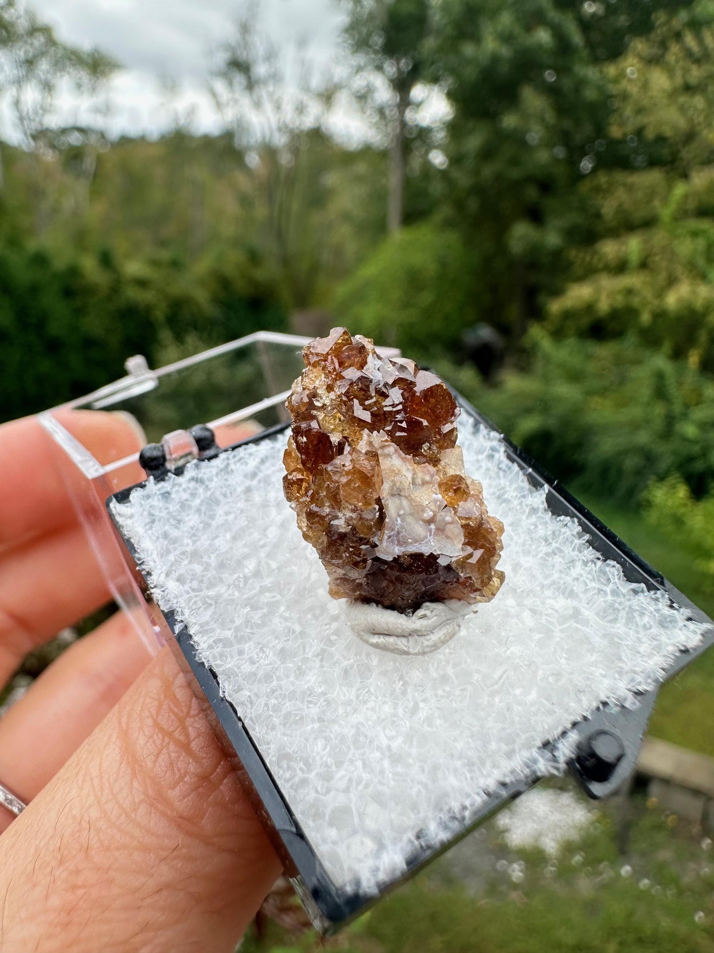 Grossular Garnet Crystals on Matrix from Vesper Peak Washington USA