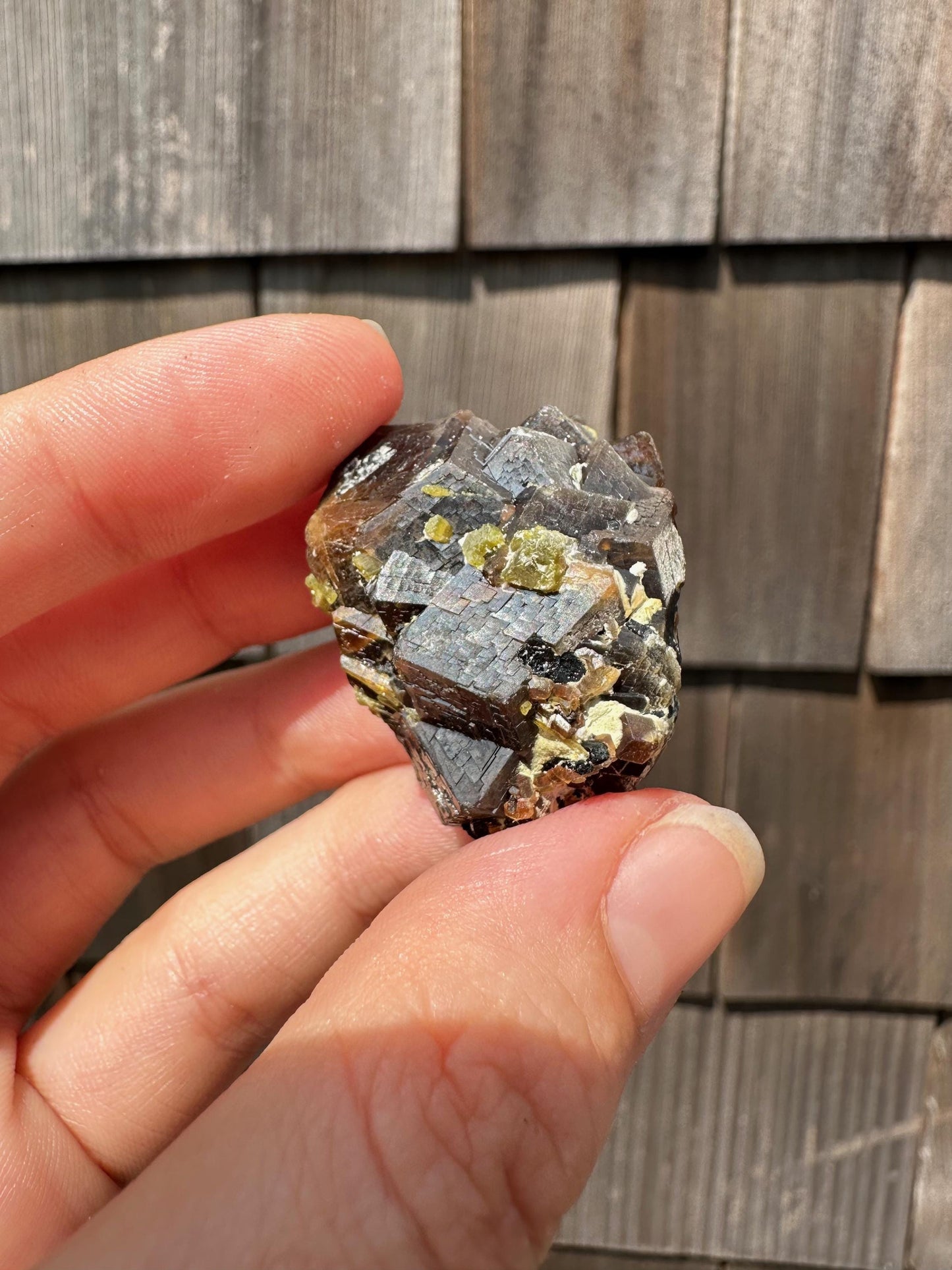 Etched Garnet Cluster with Epidote from Pakistan