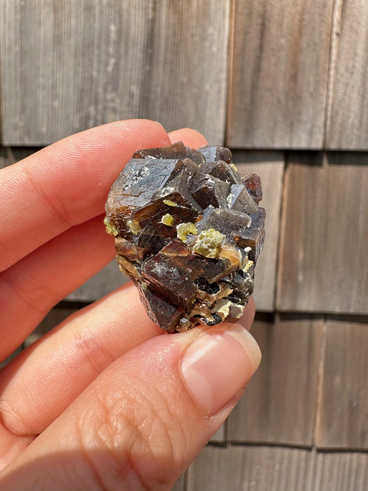 Etched Garnet Cluster with Epidote from Pakistan