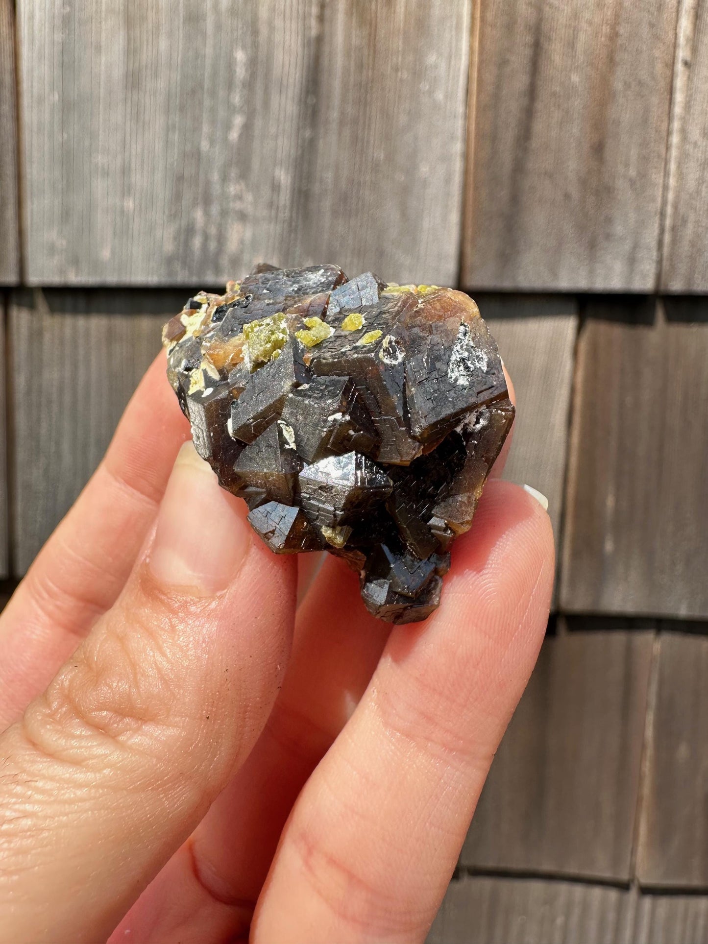 Etched Garnet Cluster with Epidote from Pakistan