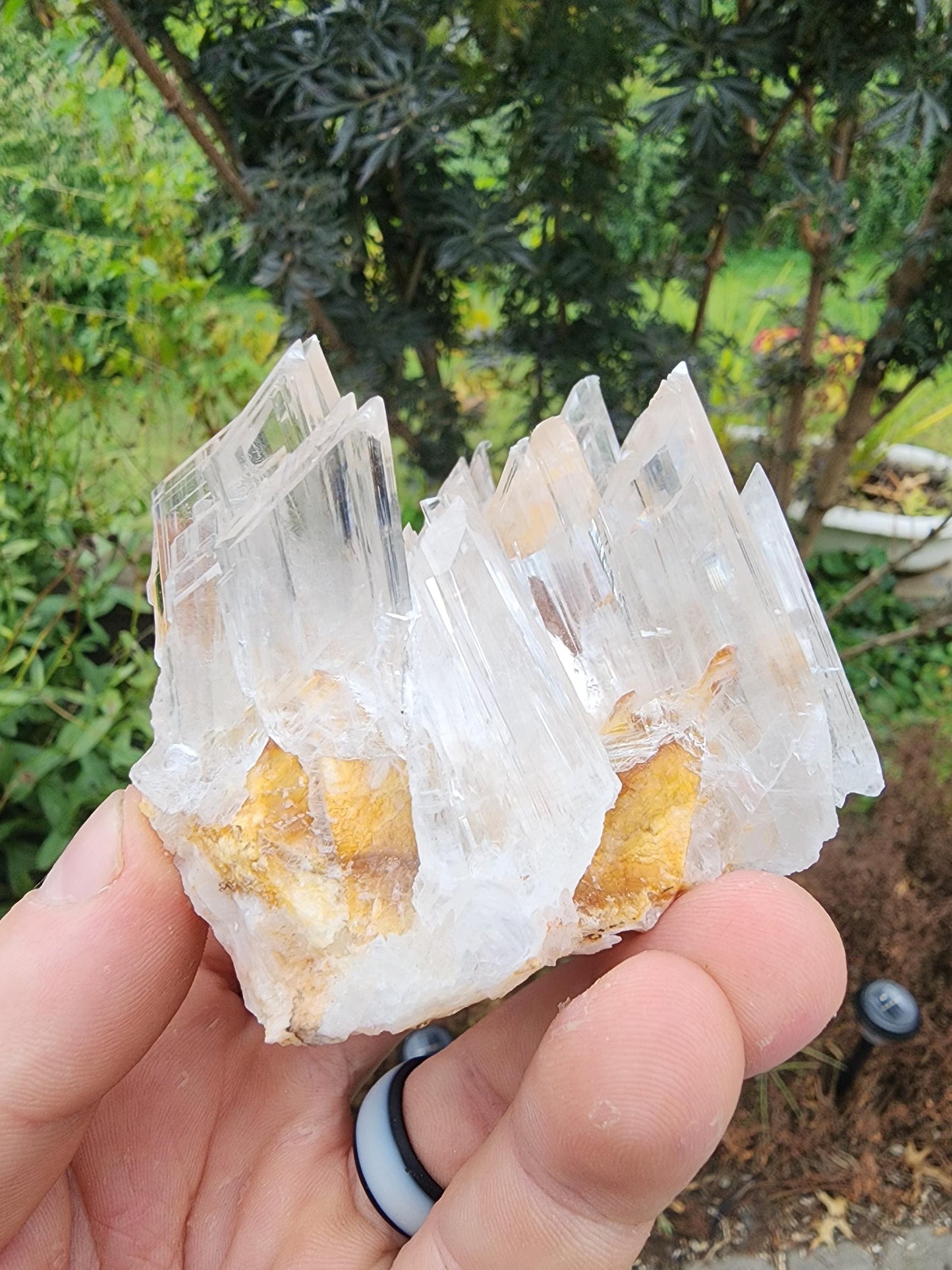 Selenite Crystal Cluster from Guizhou, China
