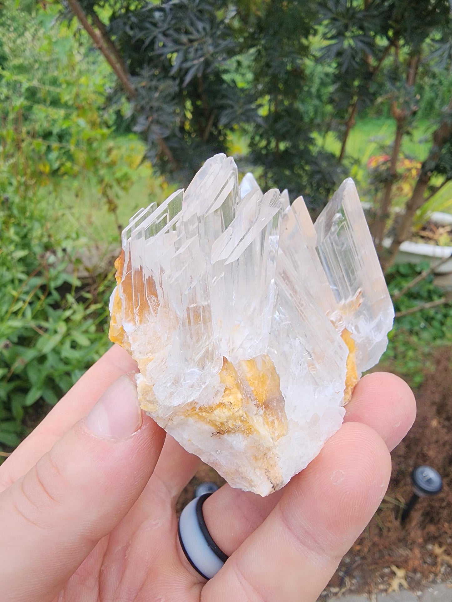 Selenite Crystal Cluster from Guizhou, China