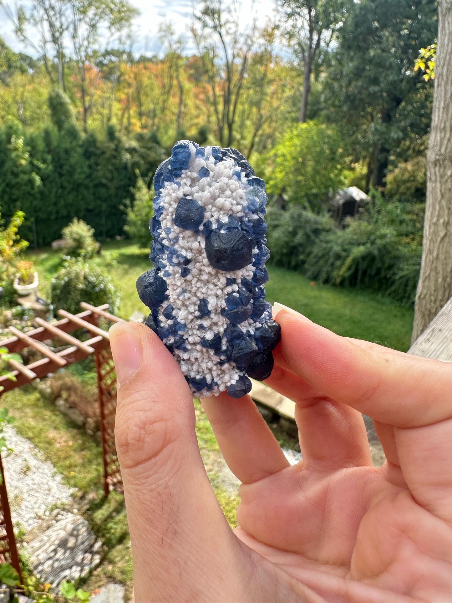 Blueberry Fluorite on Cactus Quartz from Huanggangliang, Inner Mongolia, China