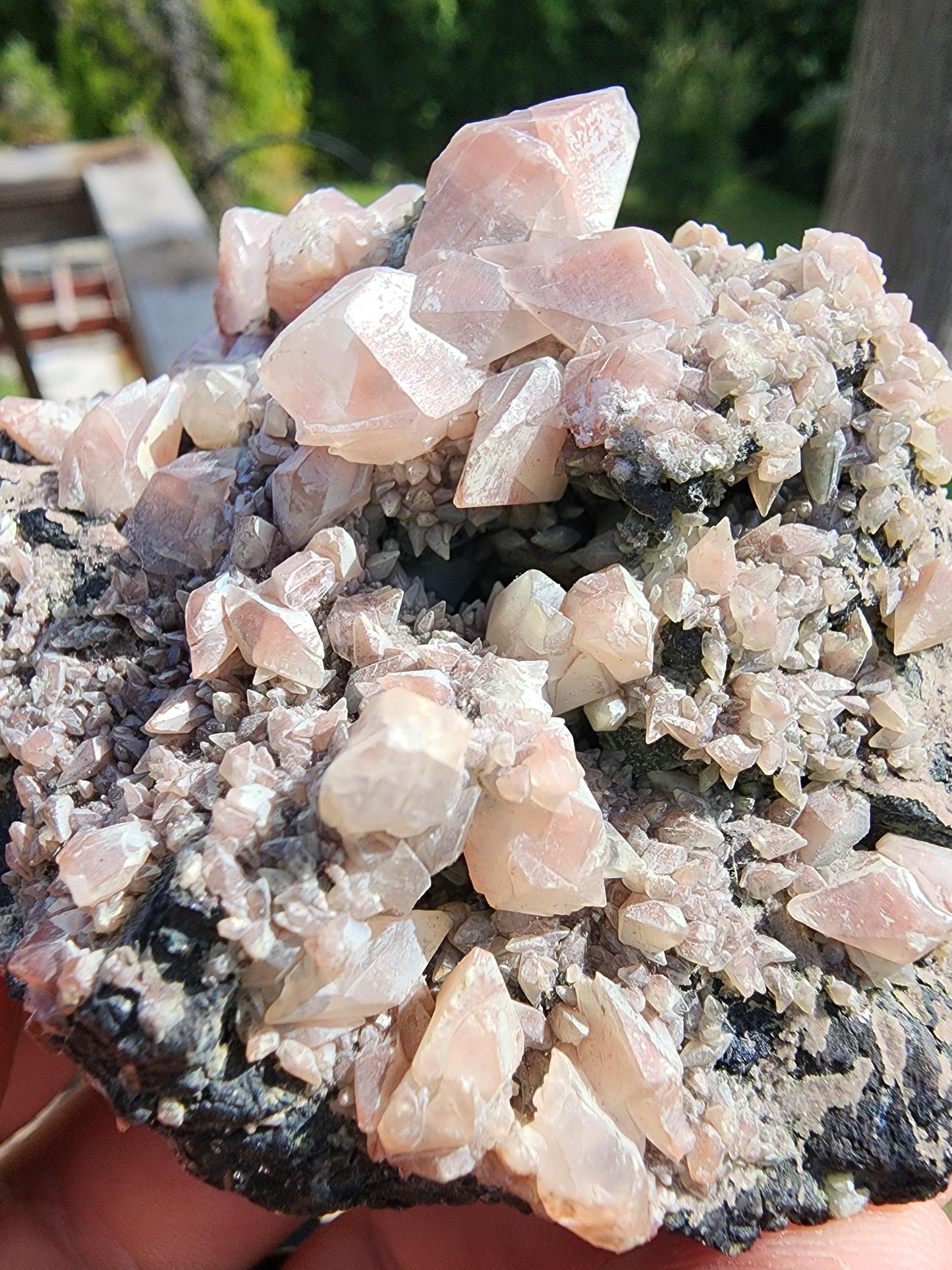 Calcite with Red Hematite on Galena from Mexico