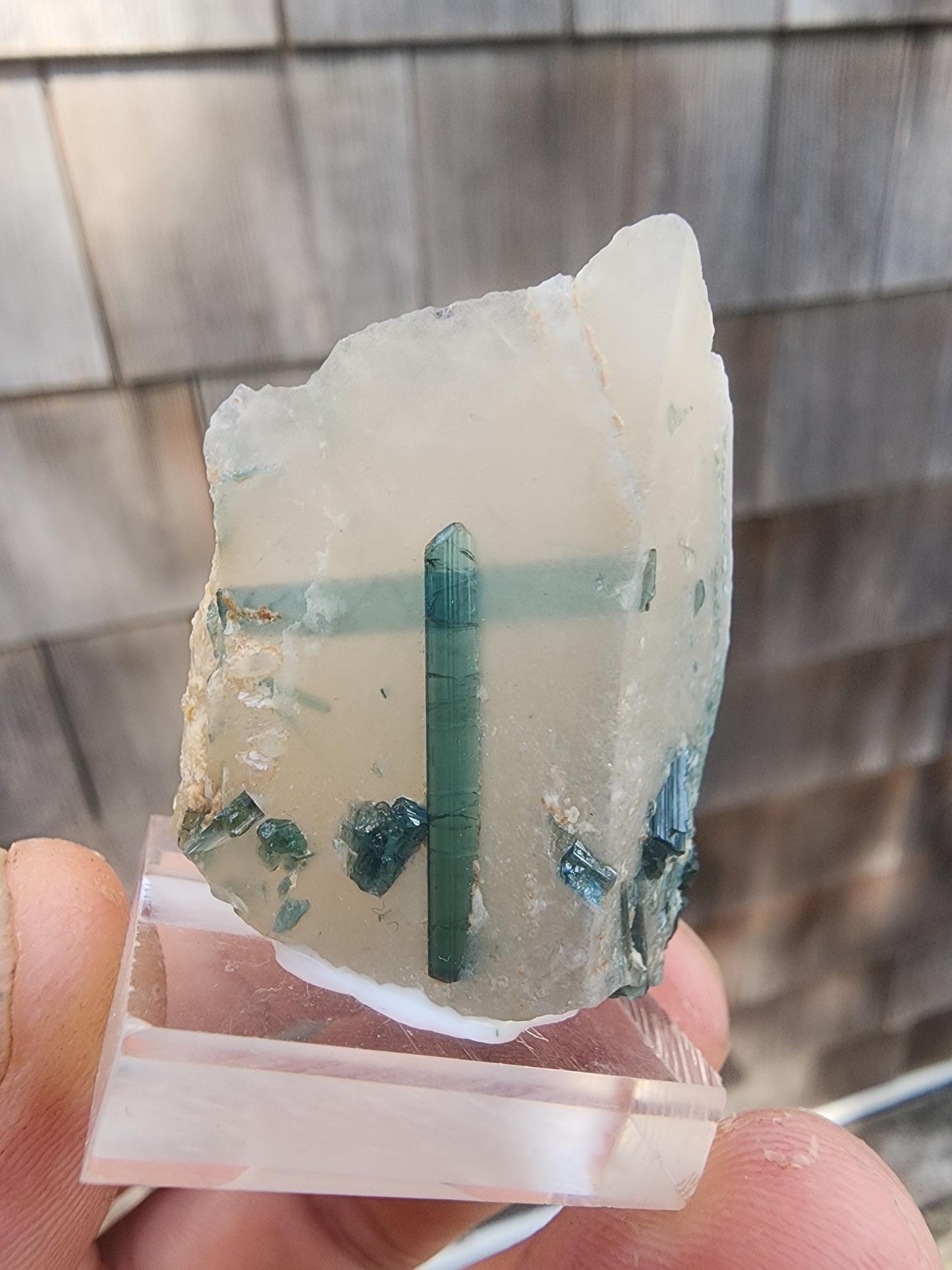 Tourmaline var. "T" Indicolite in Quartz from Minas Gerais, Brazil