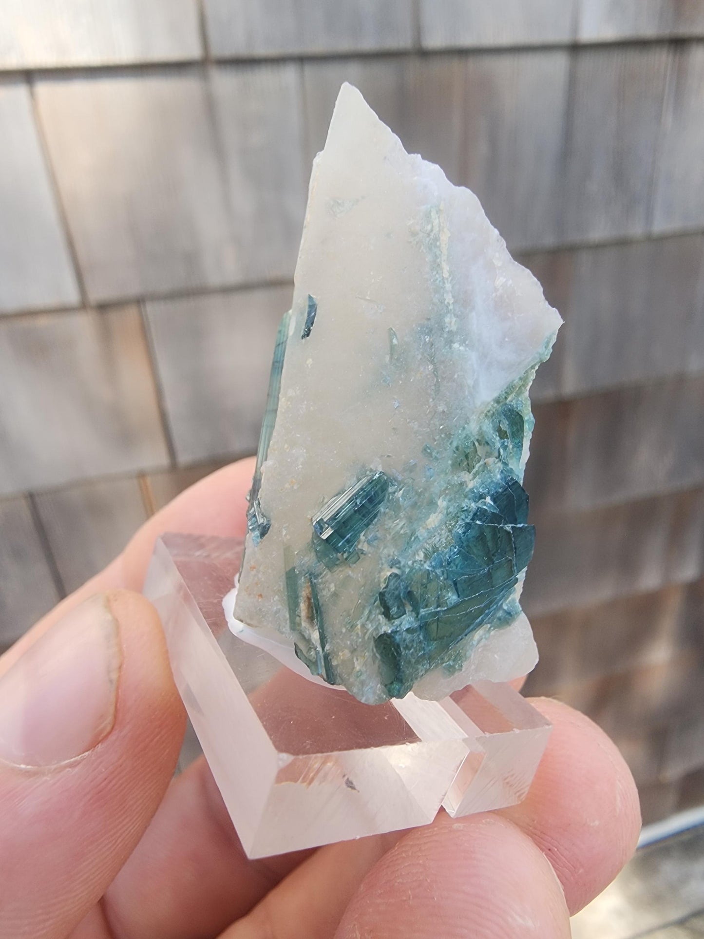 Tourmaline var. "T" Indicolite in Quartz from Minas Gerais, Brazil