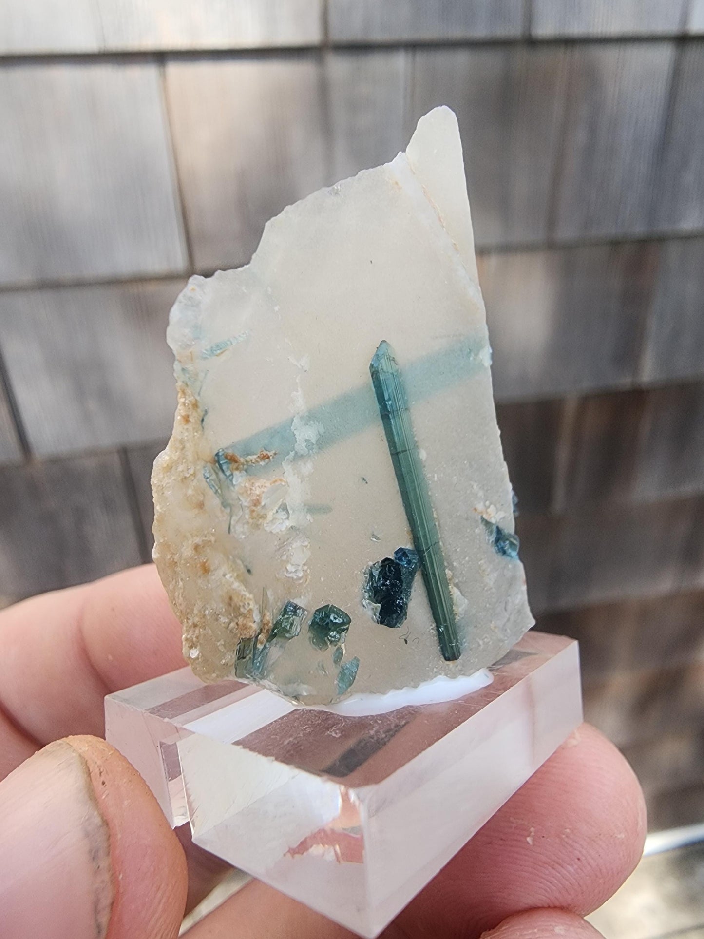 Tourmaline var. "T" Indicolite in Quartz from Minas Gerais, Brazil