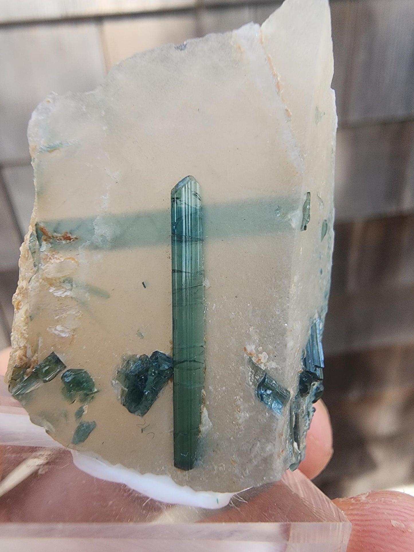 Tourmaline var. "T" Indicolite in Quartz from Minas Gerais, Brazil
