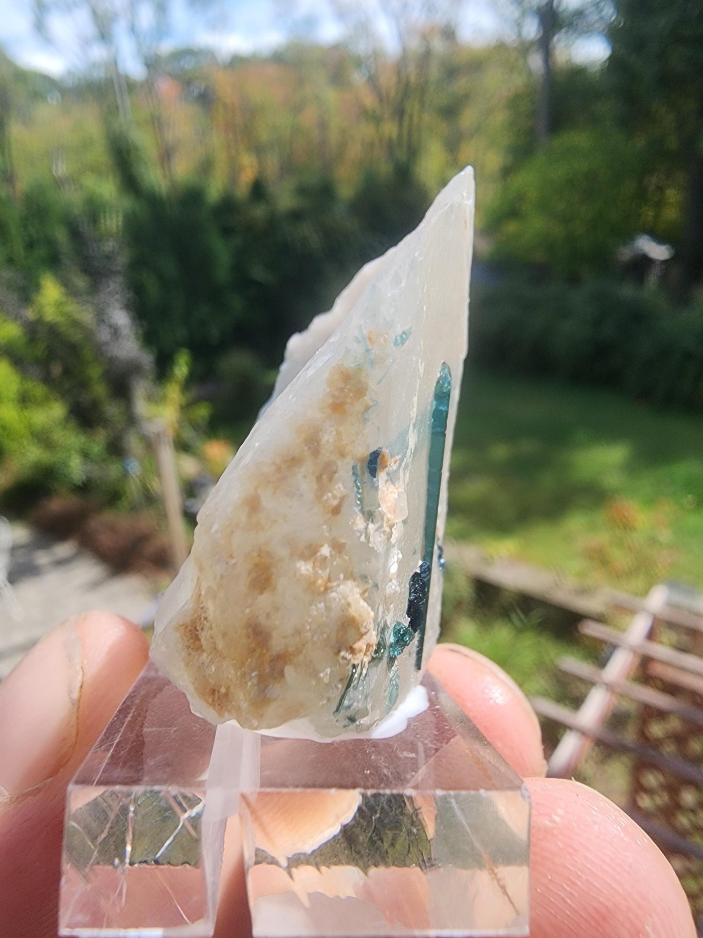 Tourmaline var. "T" Indicolite in Quartz from Minas Gerais, Brazil