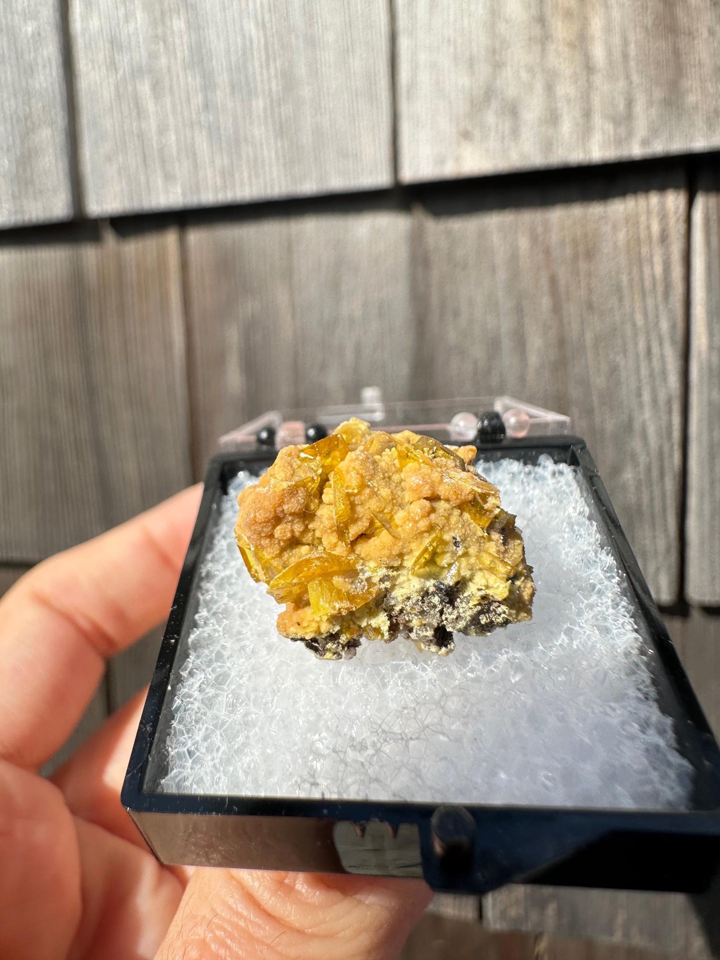 Wulfenite with Mimetite from San Francisco Mine Mexico