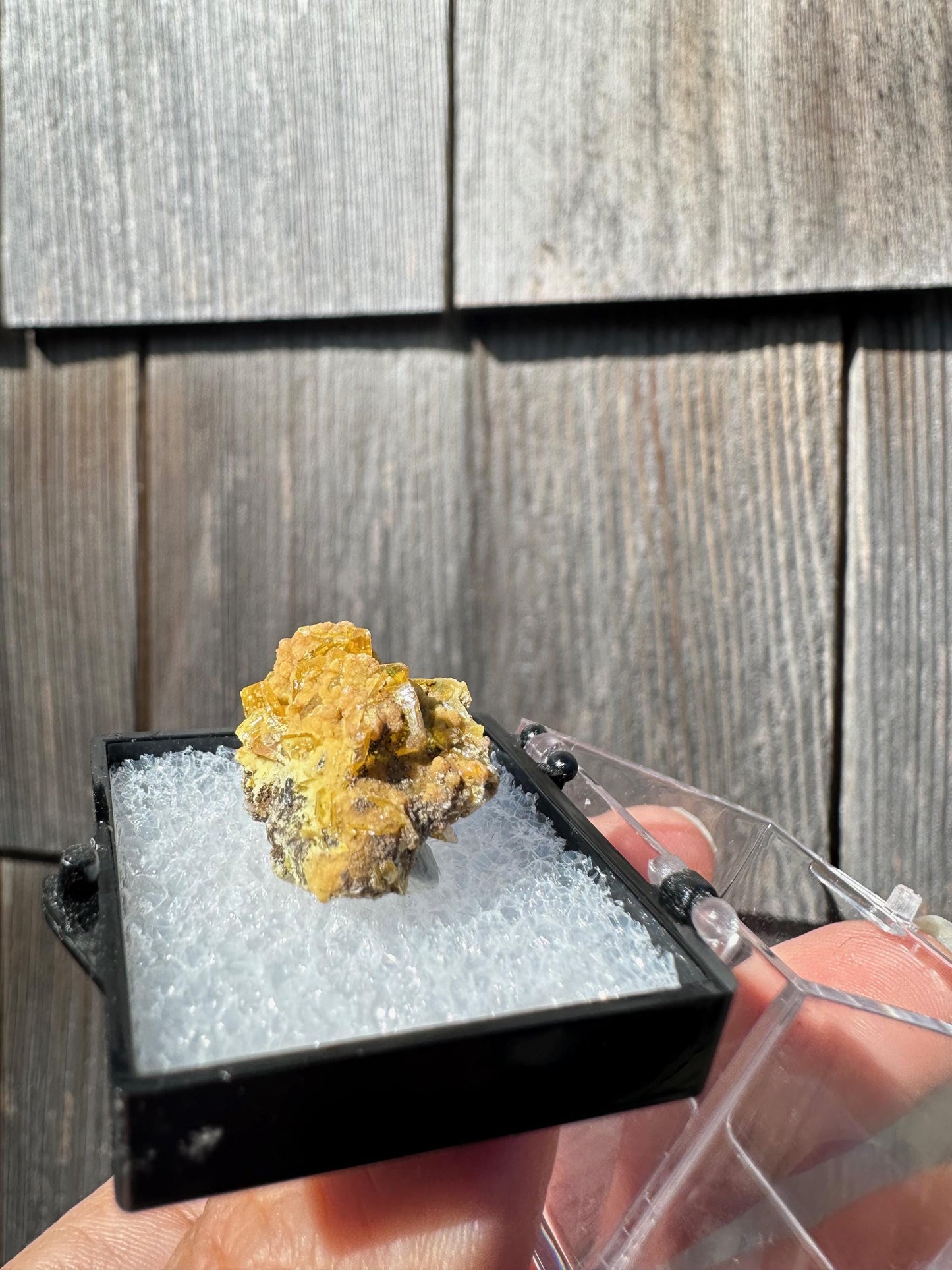 Wulfenite with Mimetite from San Francisco Mine Mexico