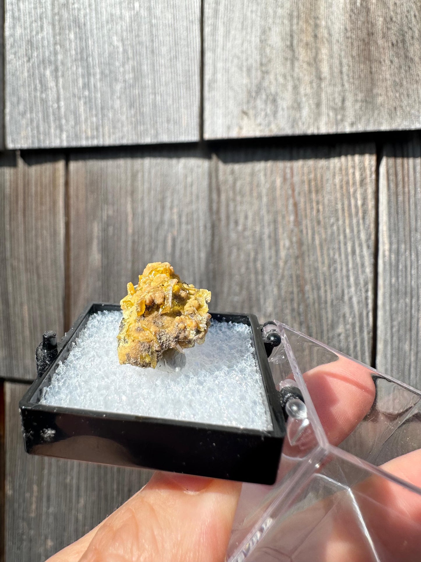 Wulfenite with Mimetite from San Francisco Mine Mexico
