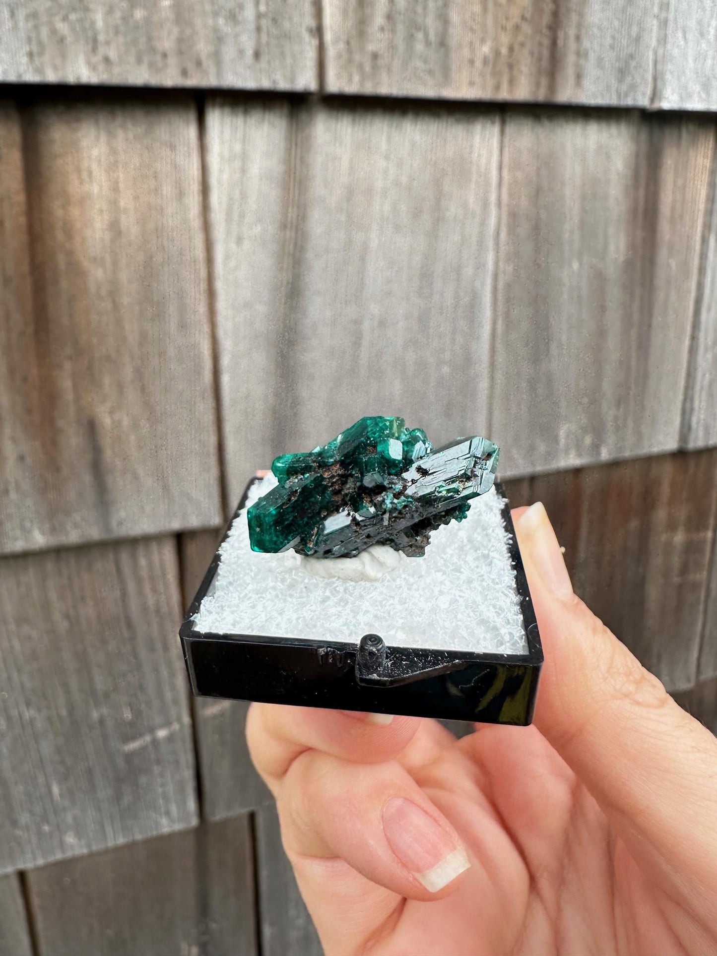 Dioptase Crystal Cluster from Namibia
