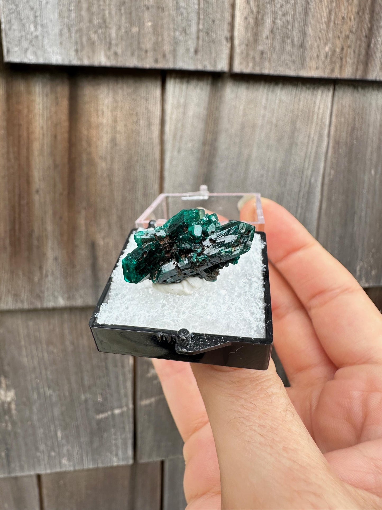 Dioptase Crystal Cluster from Namibia