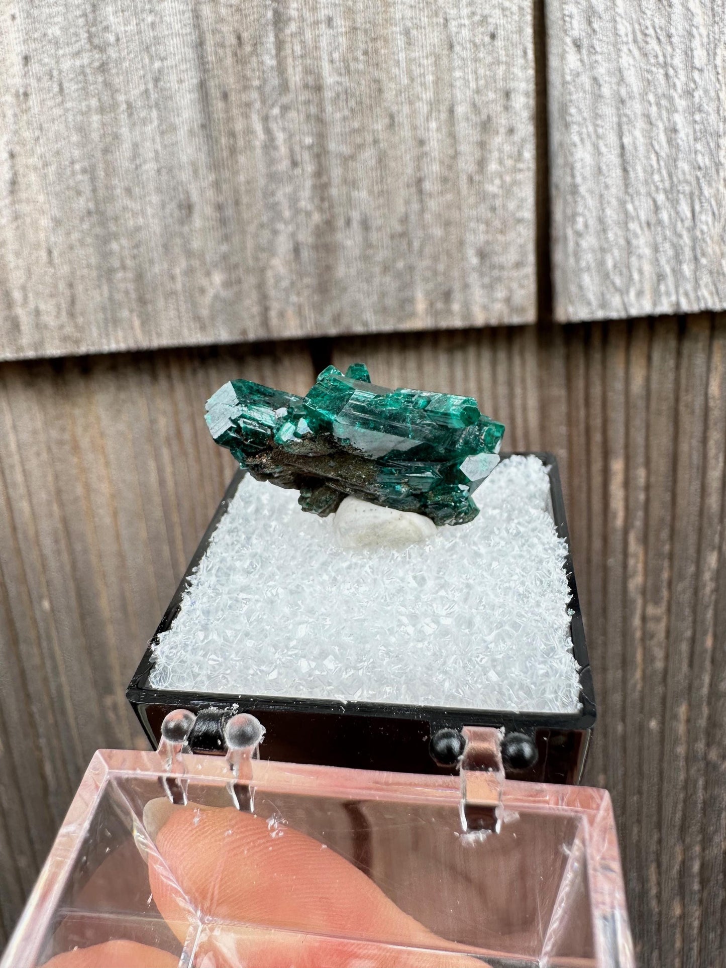 Dioptase Crystal Cluster from Namibia