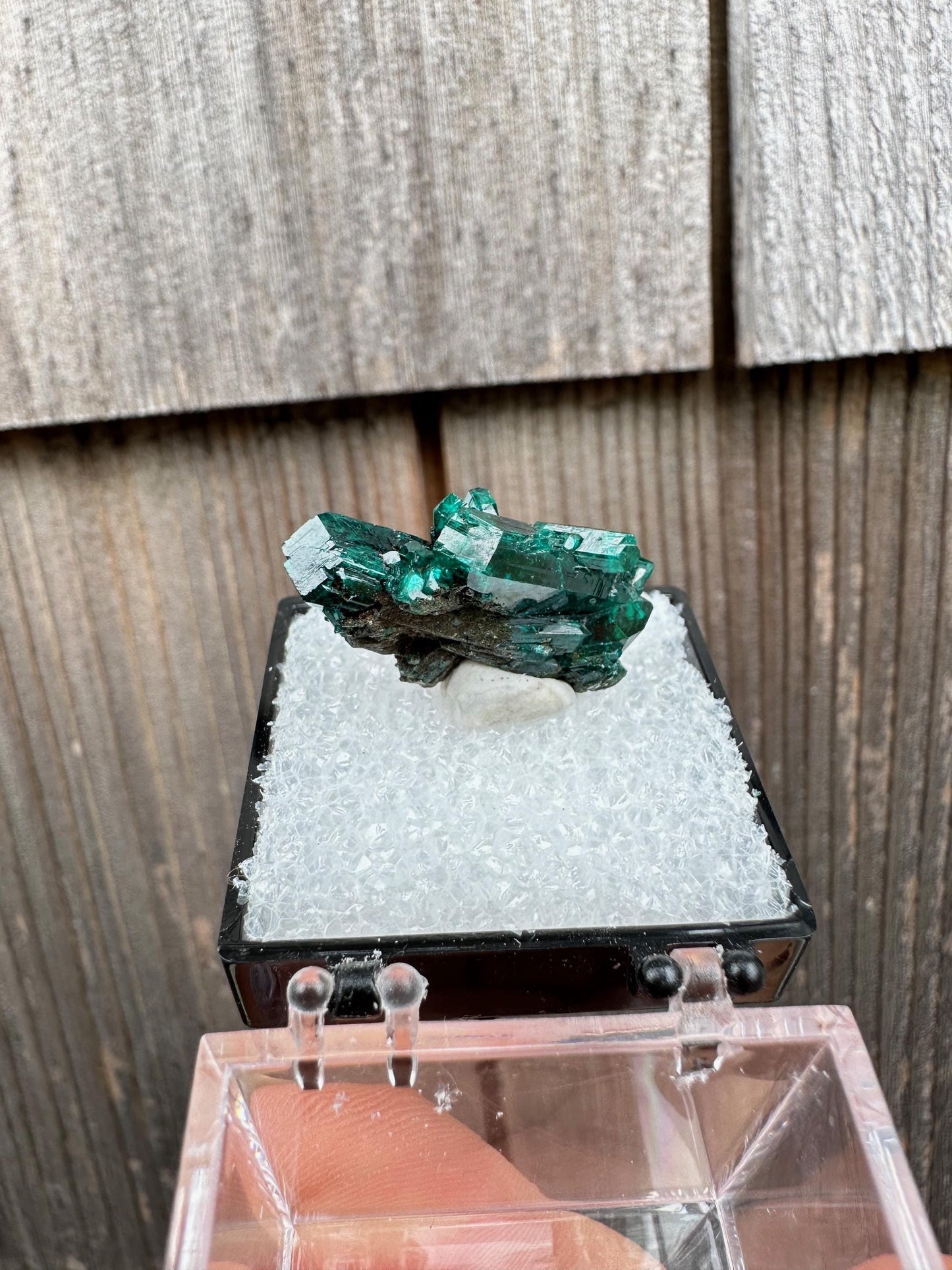 Dioptase Crystal Cluster from Namibia