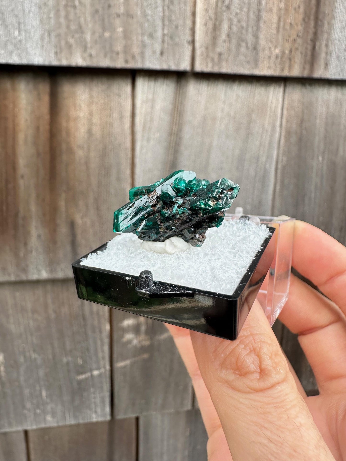 Dioptase Crystal Cluster from Namibia